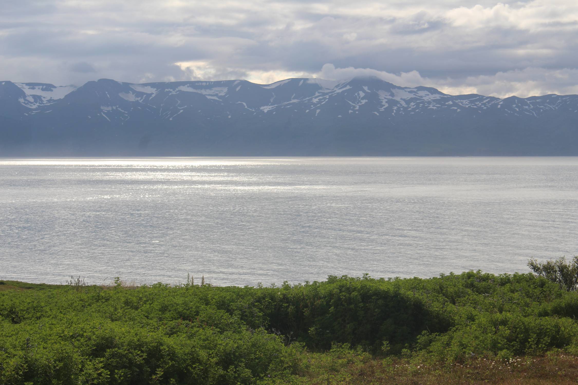 Islande, Skjalfandi, paysage