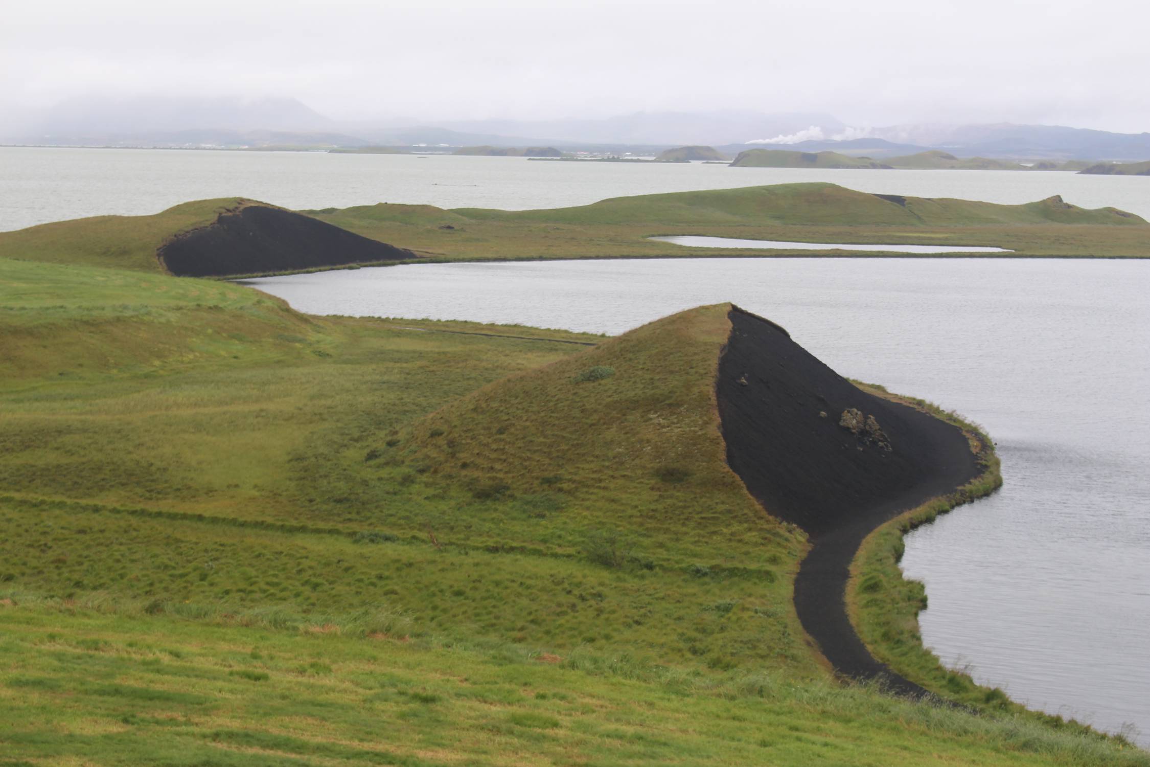 Islande, Myvatn, Skutustadir, paysage