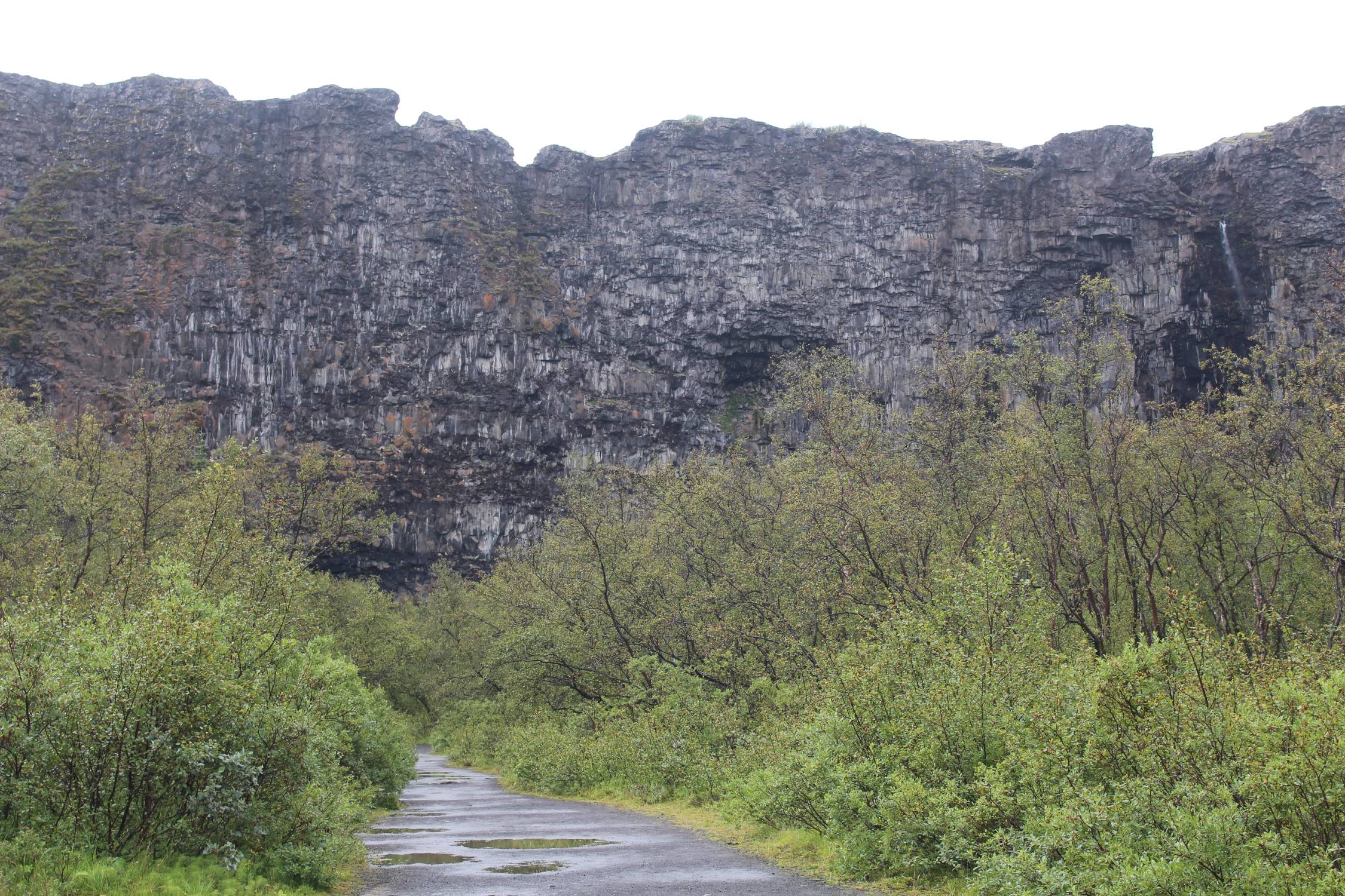 Islande, canyon d'Asbyrgi