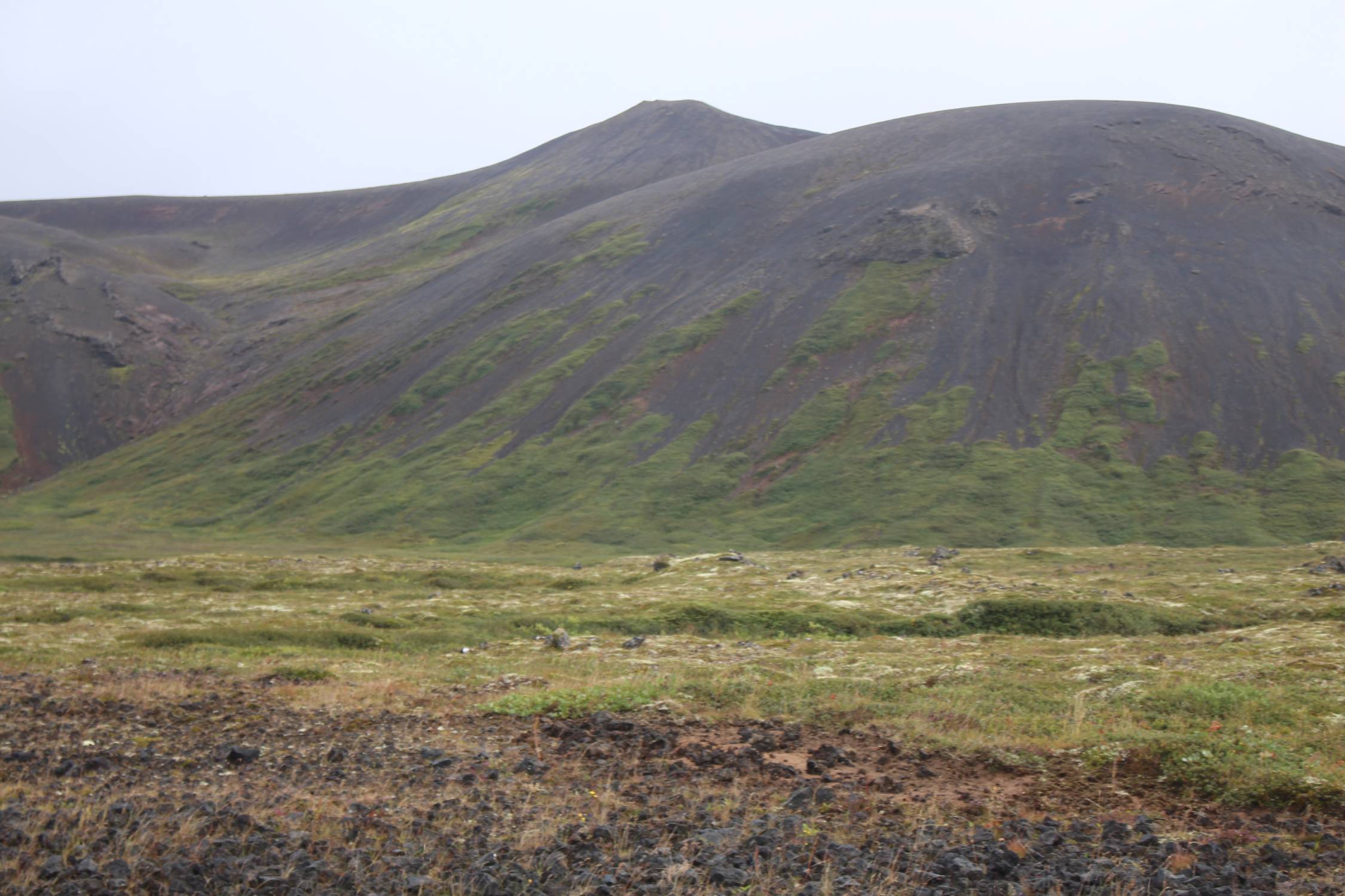 Islande, Melrakkasletta, paysage