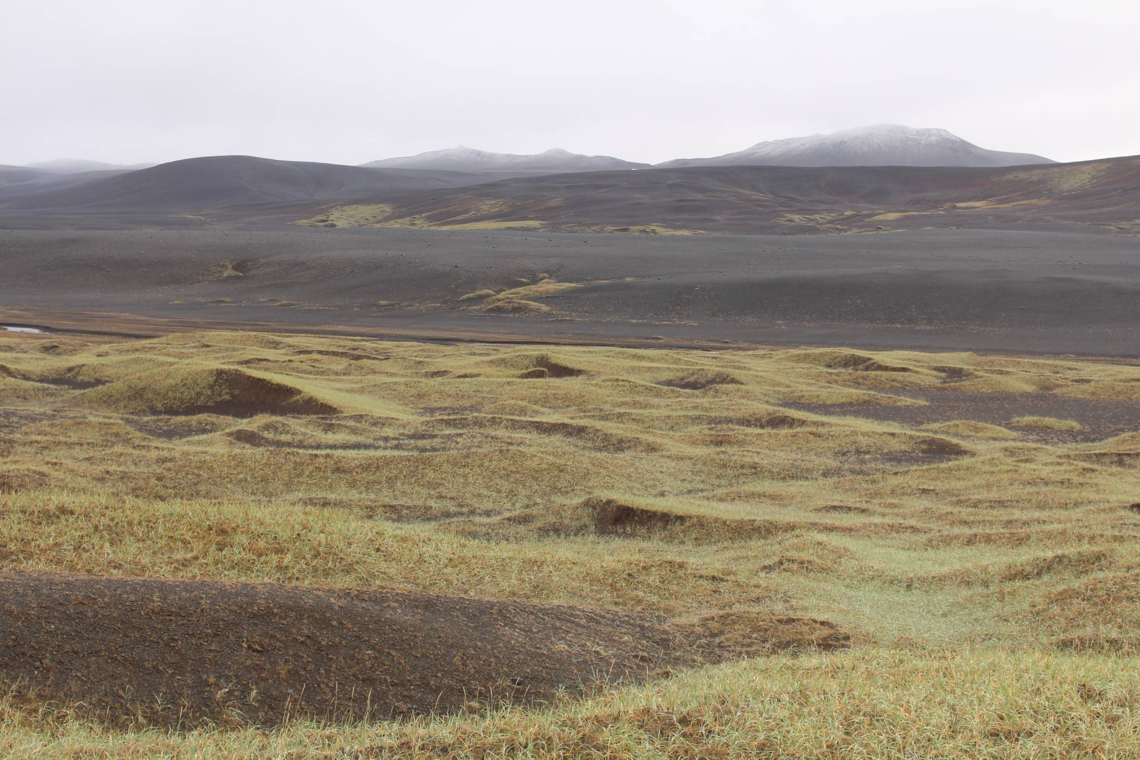 Islande, Grimsstadir, paysage