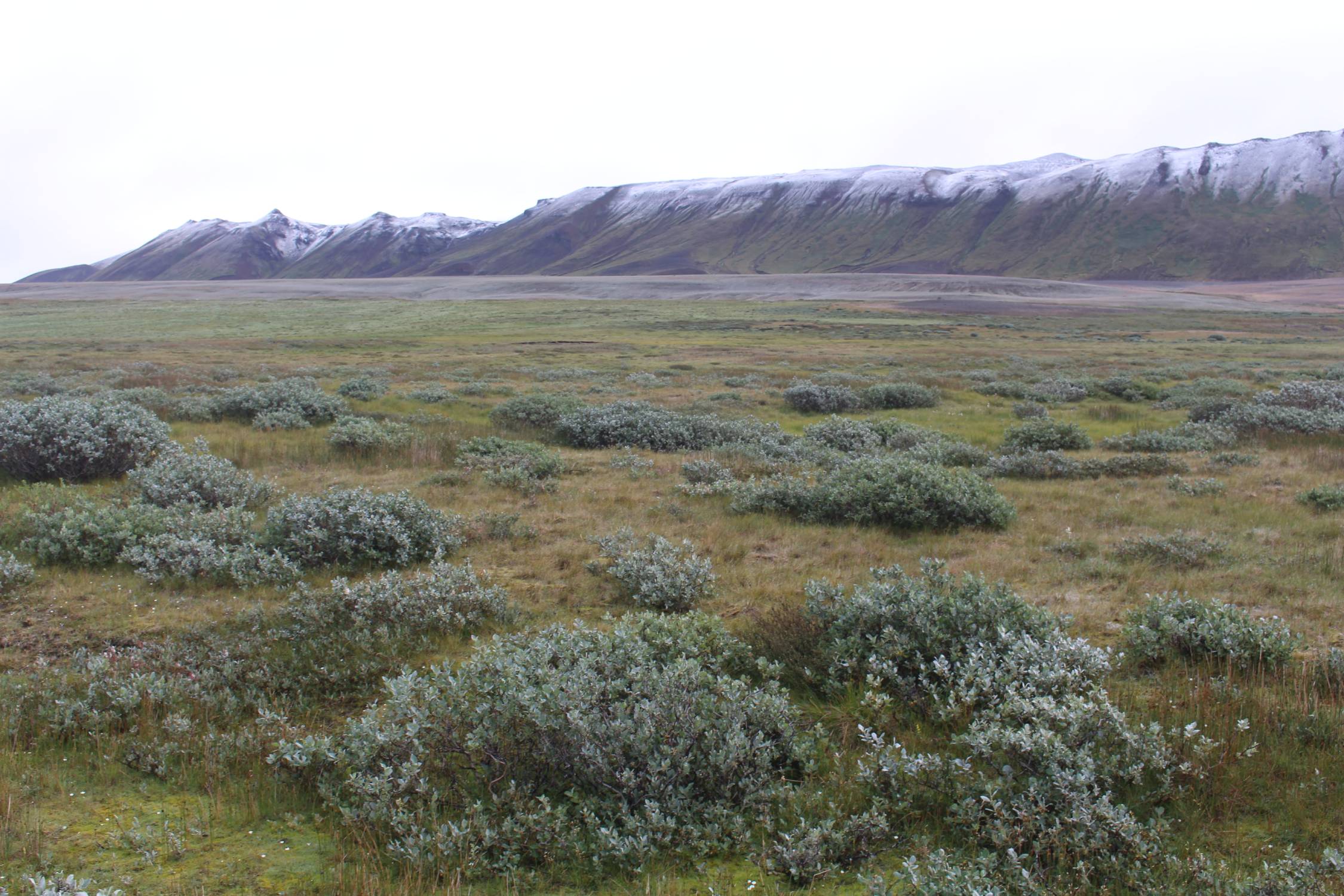 Islande, Vegahnjukur, landes