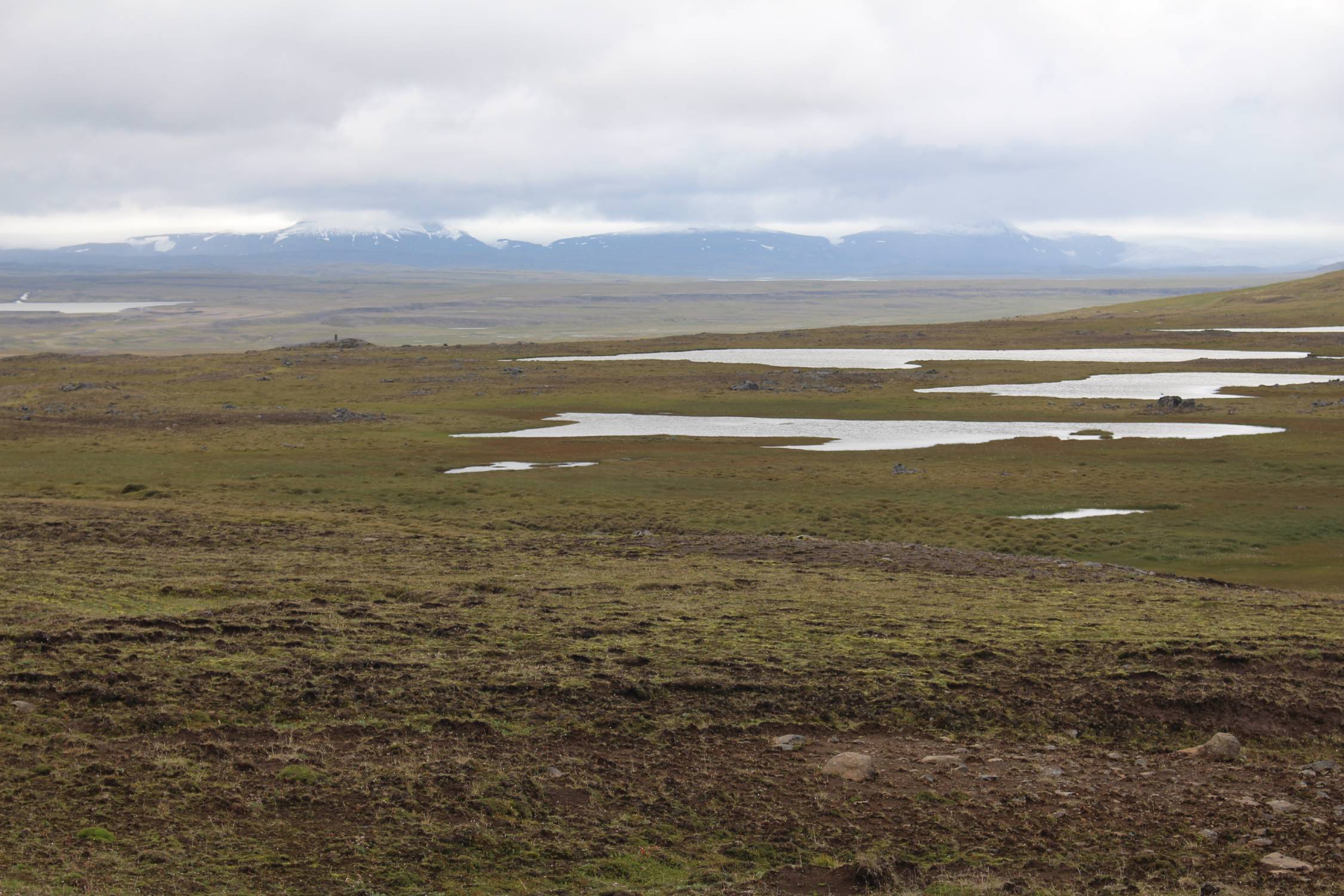 Islande, Fljotsdalsheidi, paysage