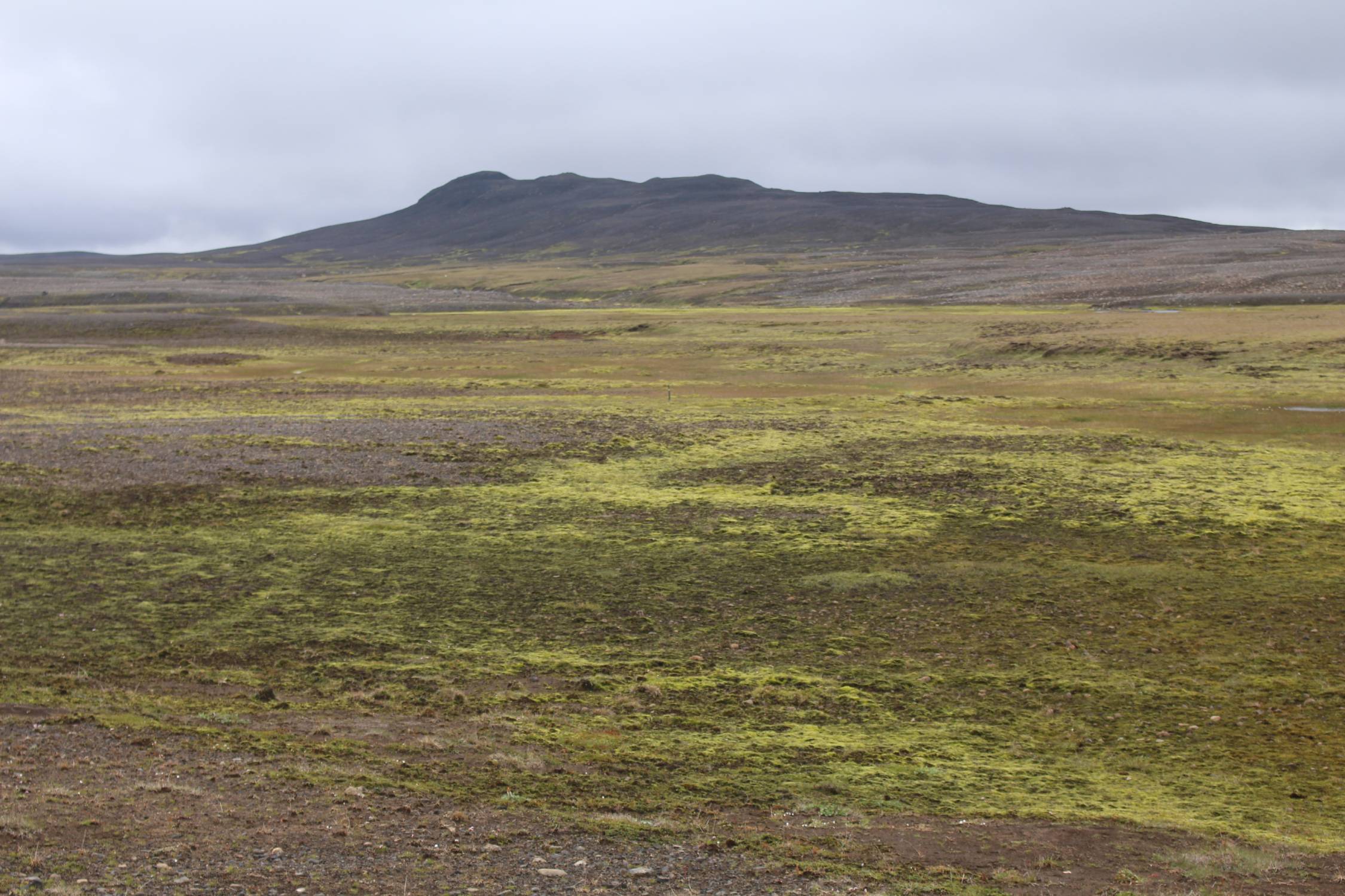 Islande, Hrafnkell, paysage