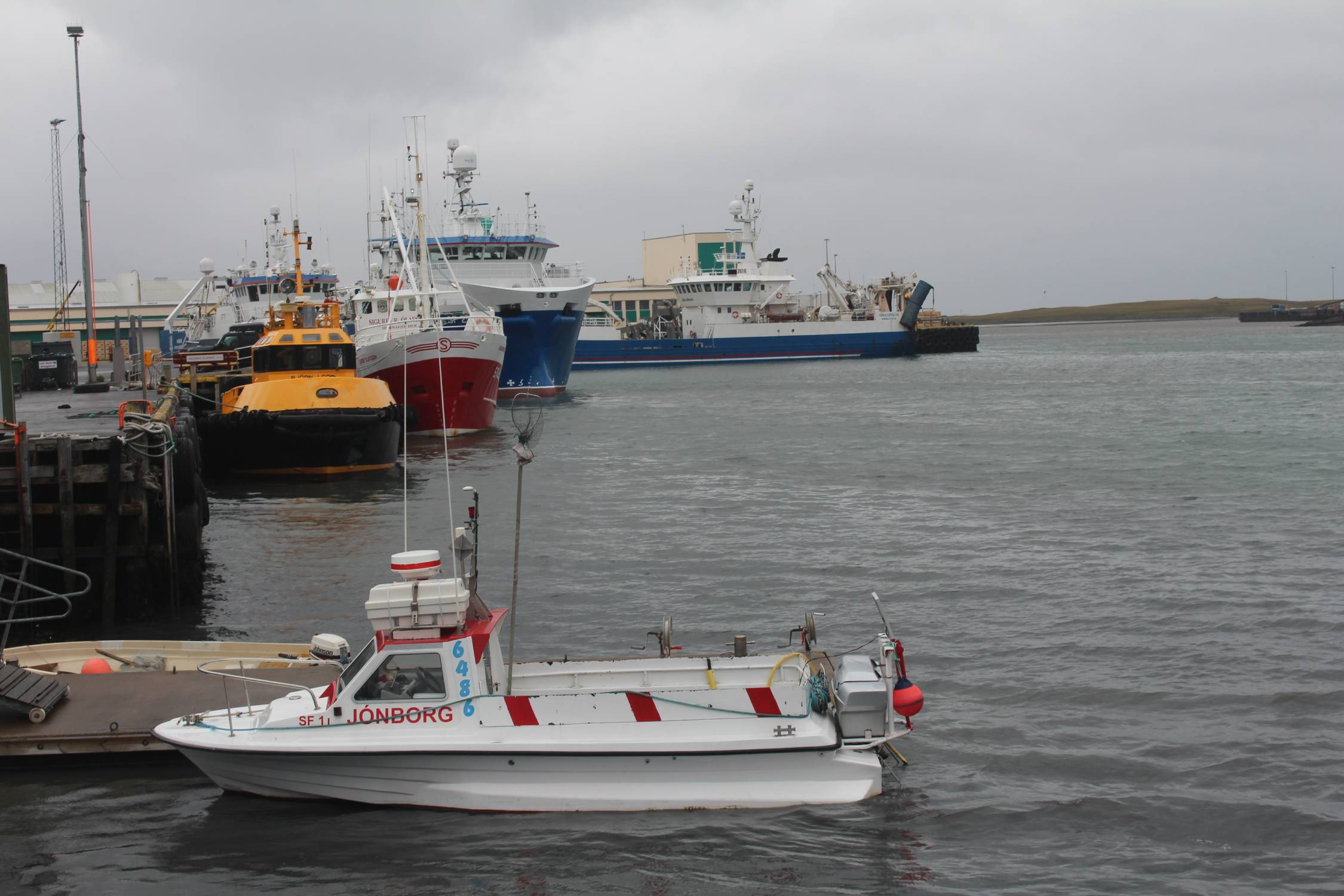 Islande, Höfn, bateaux