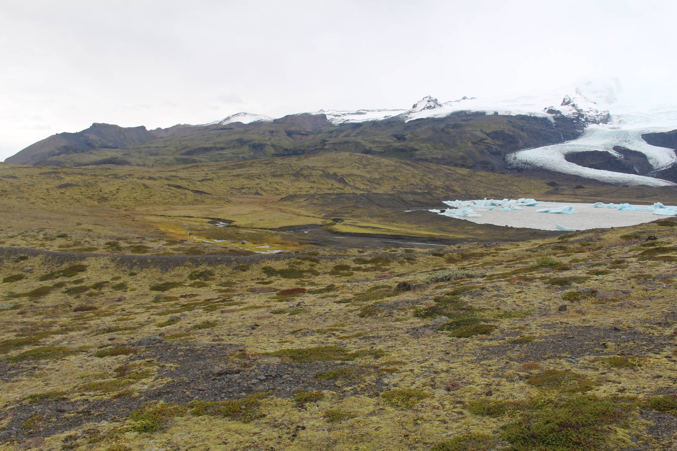 Islande, Fjallsárlón, paysage