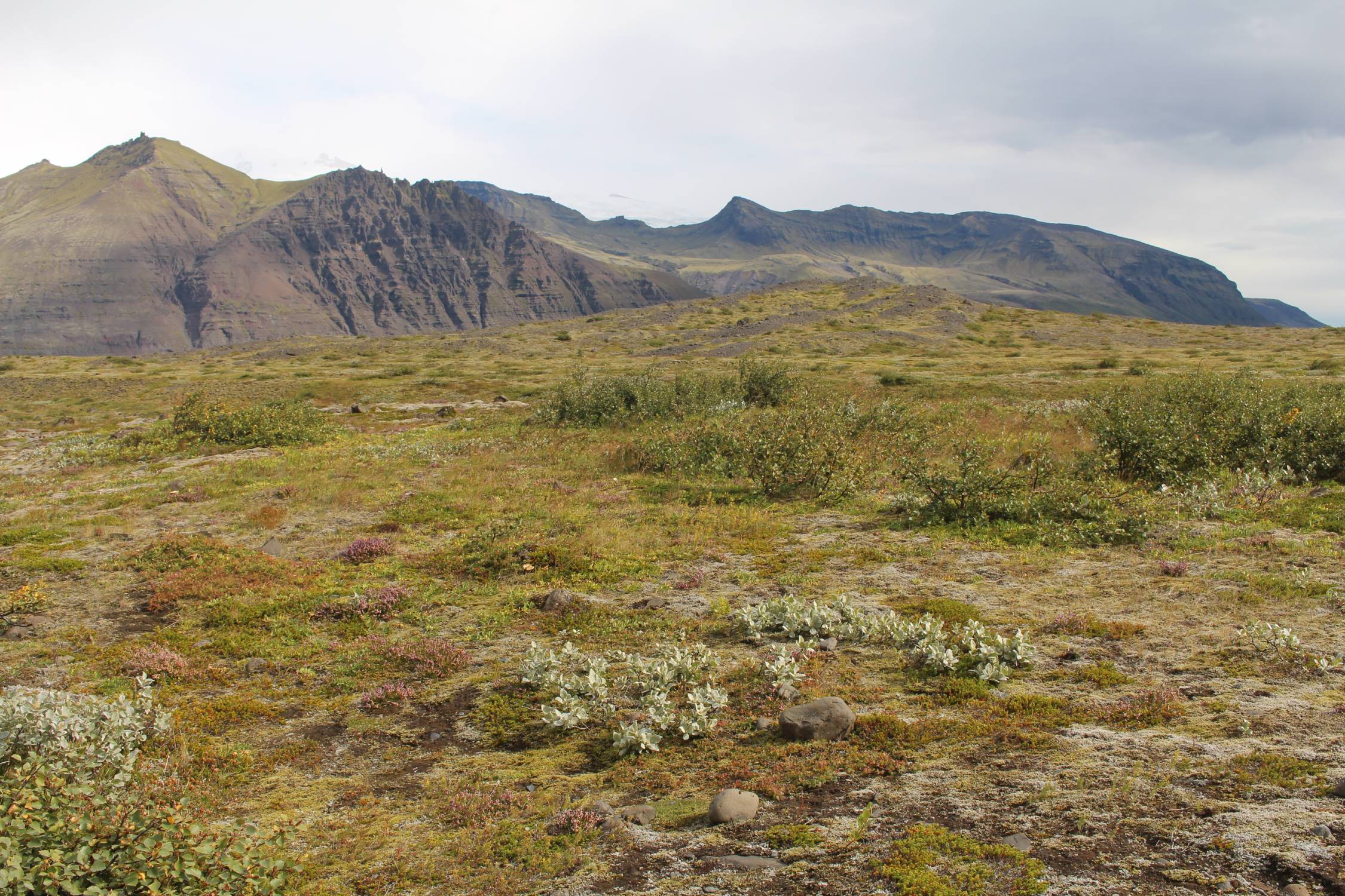 Islande, parc de Skaftafell, paysage