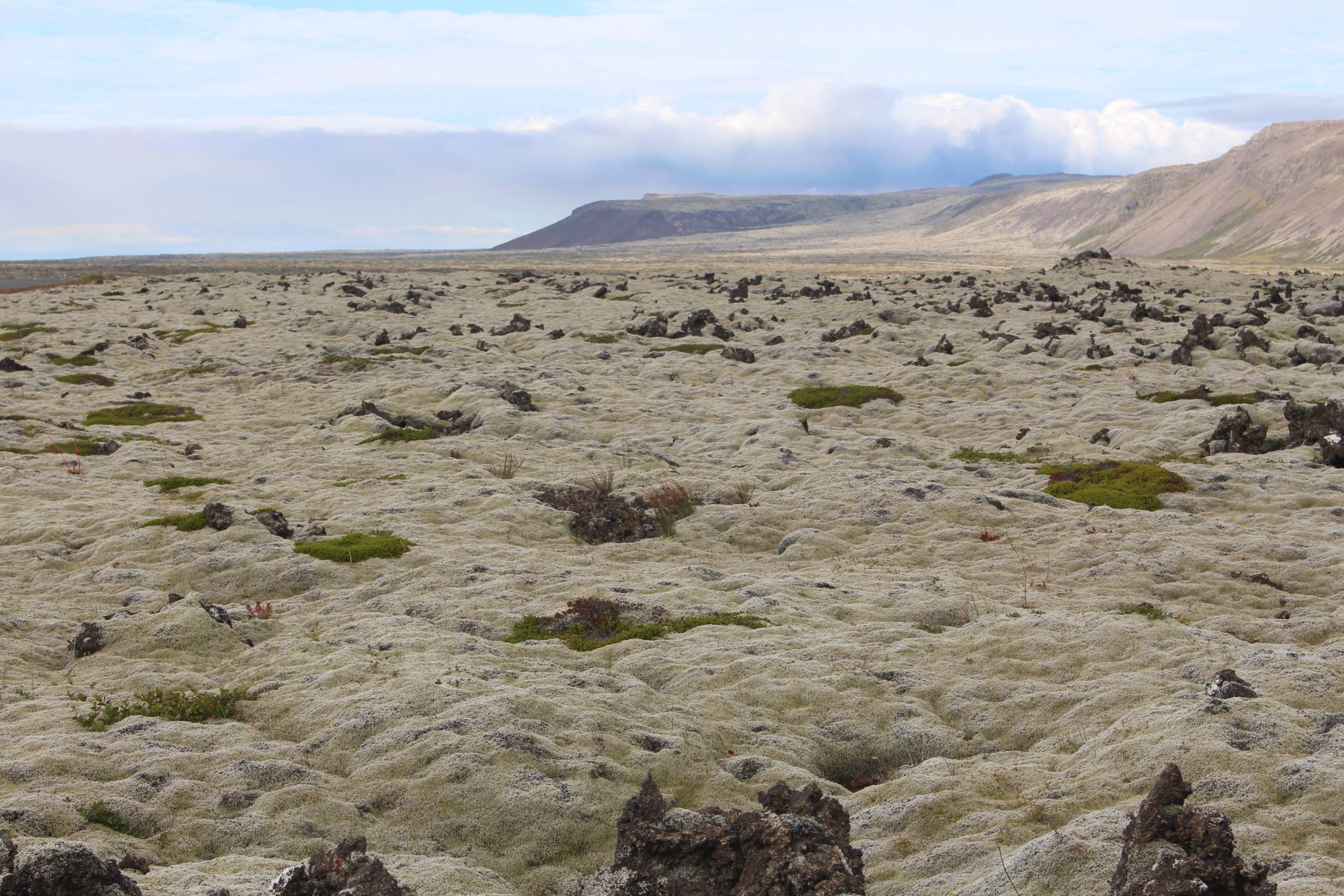 Islande, Geitahlid, paysage