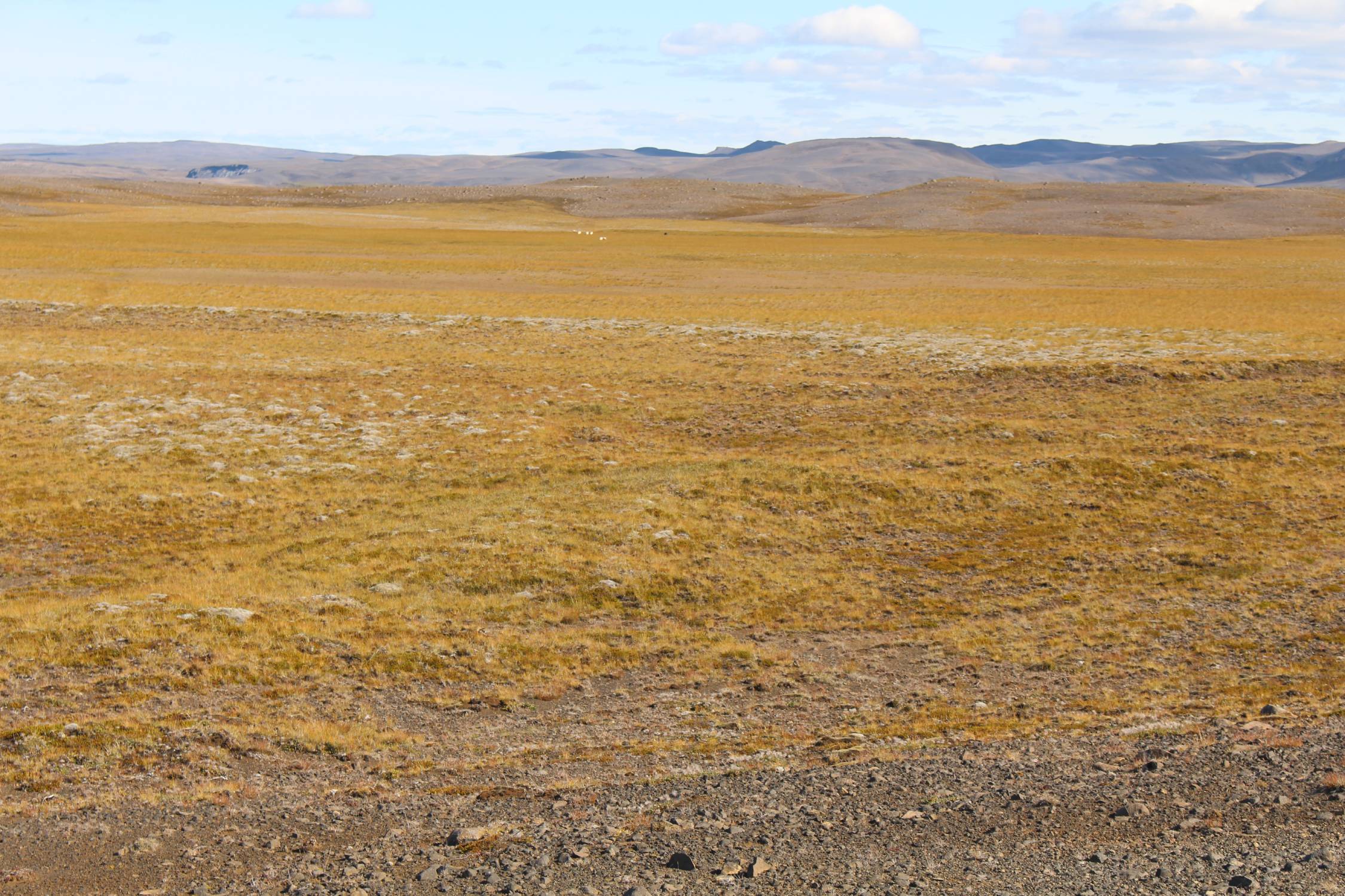 Islande, Sultartangastod, paysage