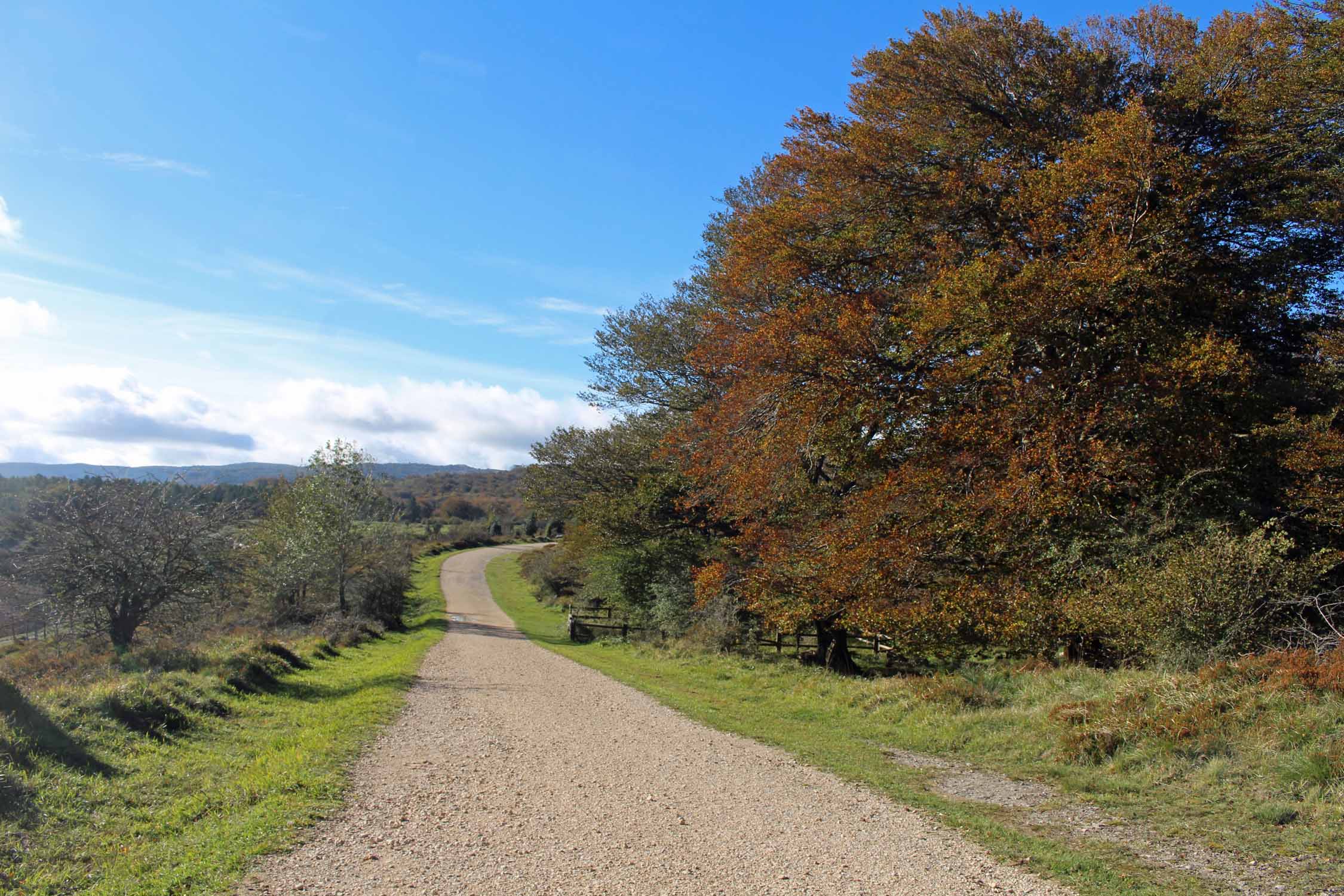 Parc naturel Monte Santiago, chemin