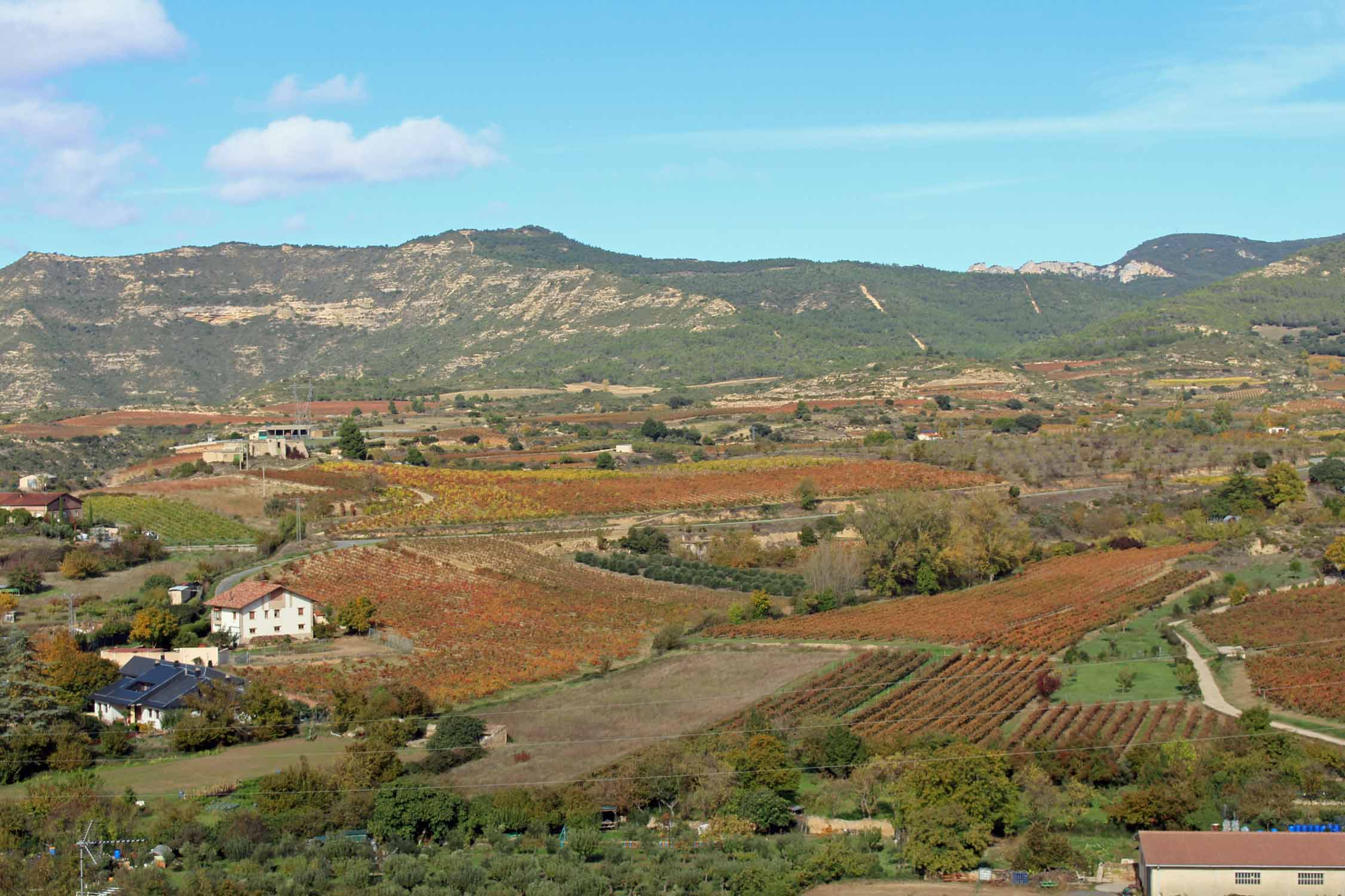 Labastida, vignoble Rioja