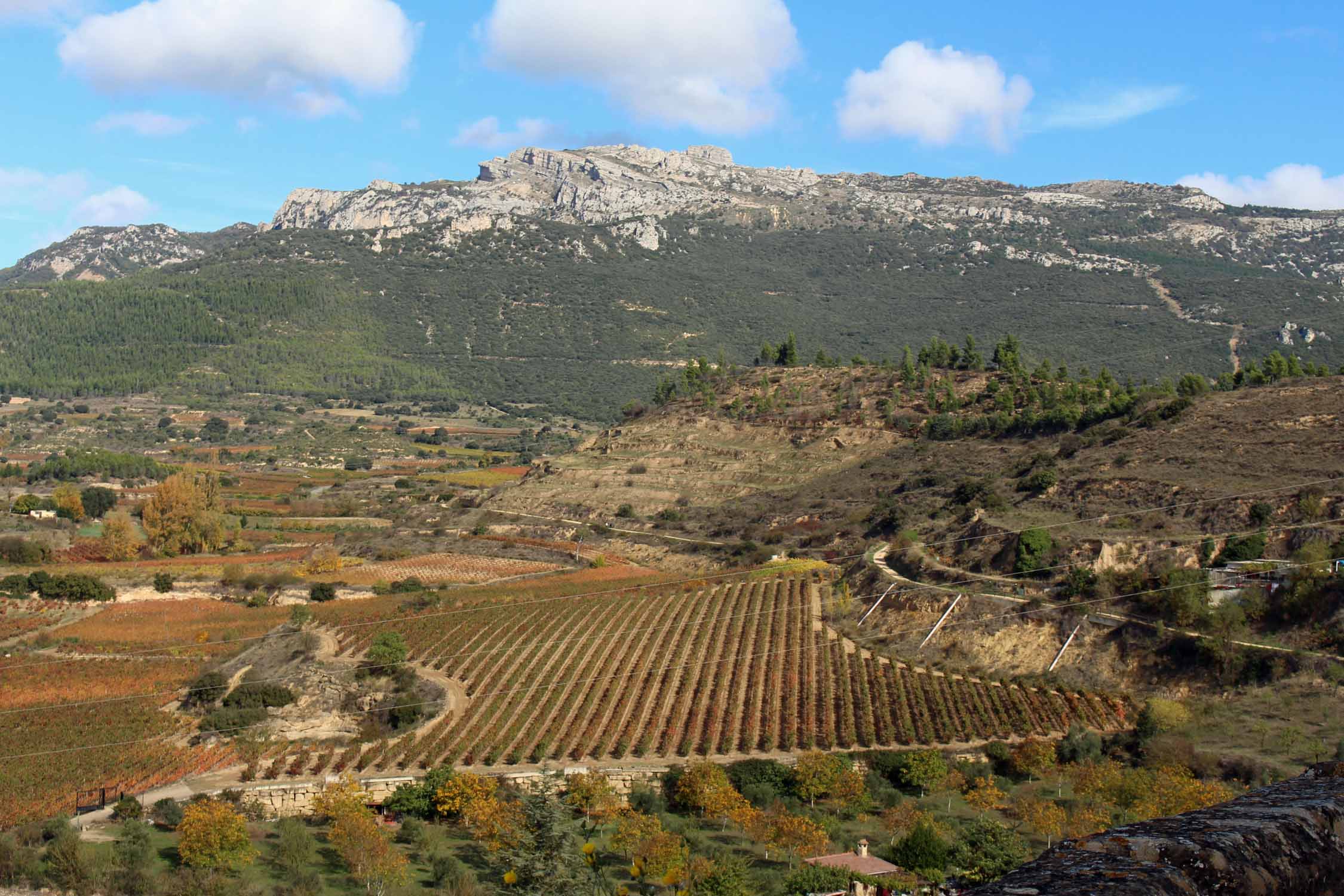 Labastida, vignoble Rioja, paysage