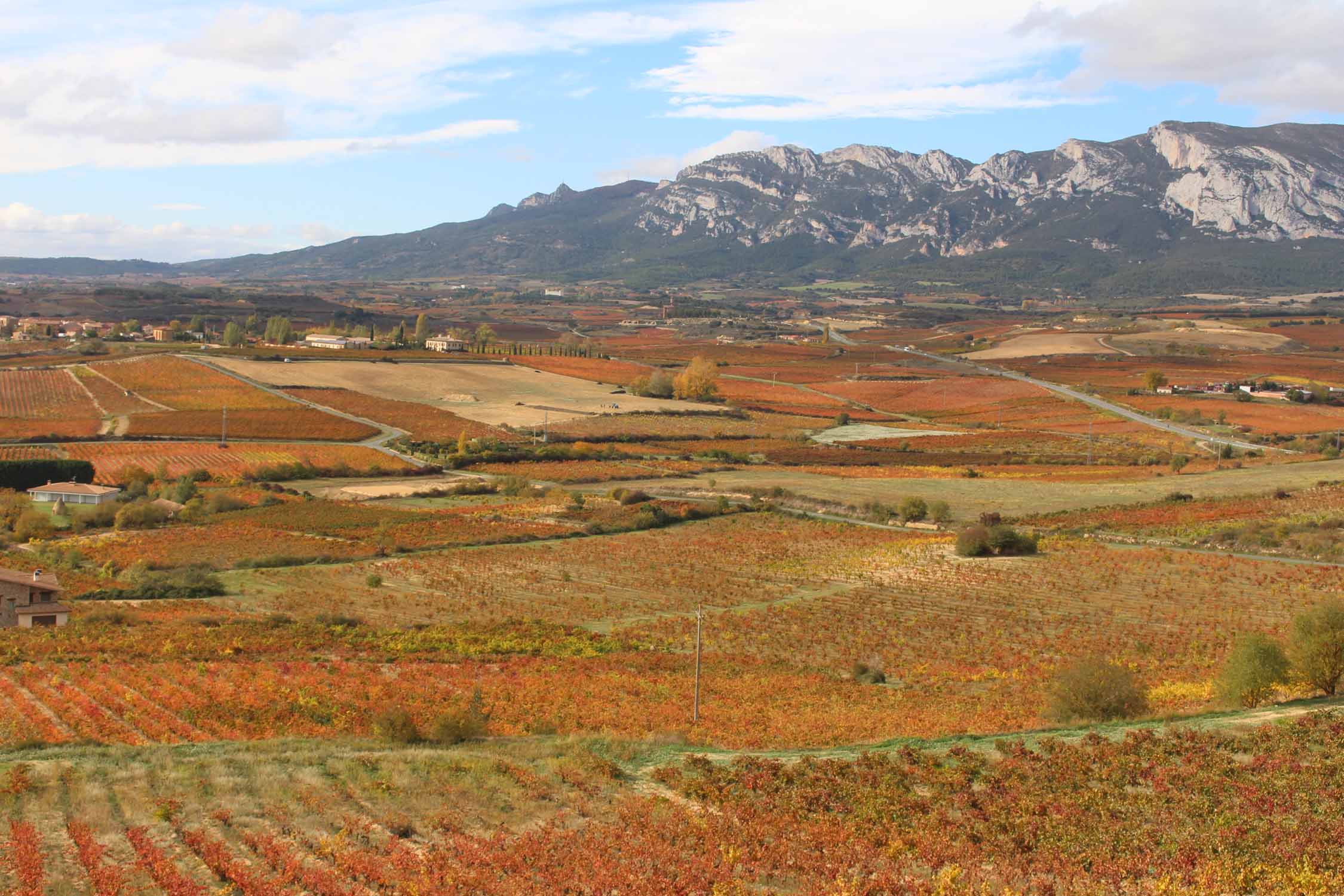 Laguardia, vignobles Rioja