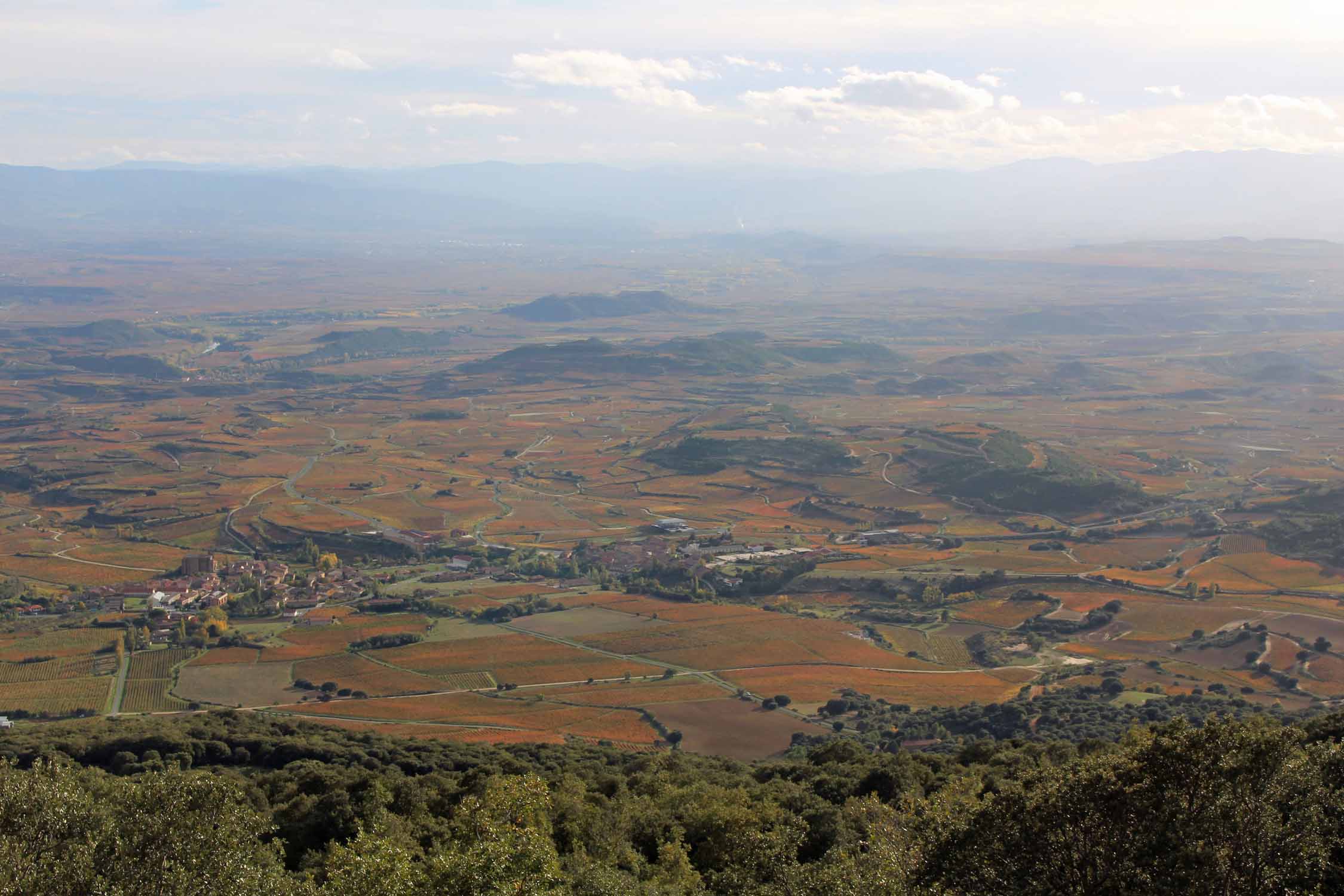 Balcon de la Rioja, vignobles