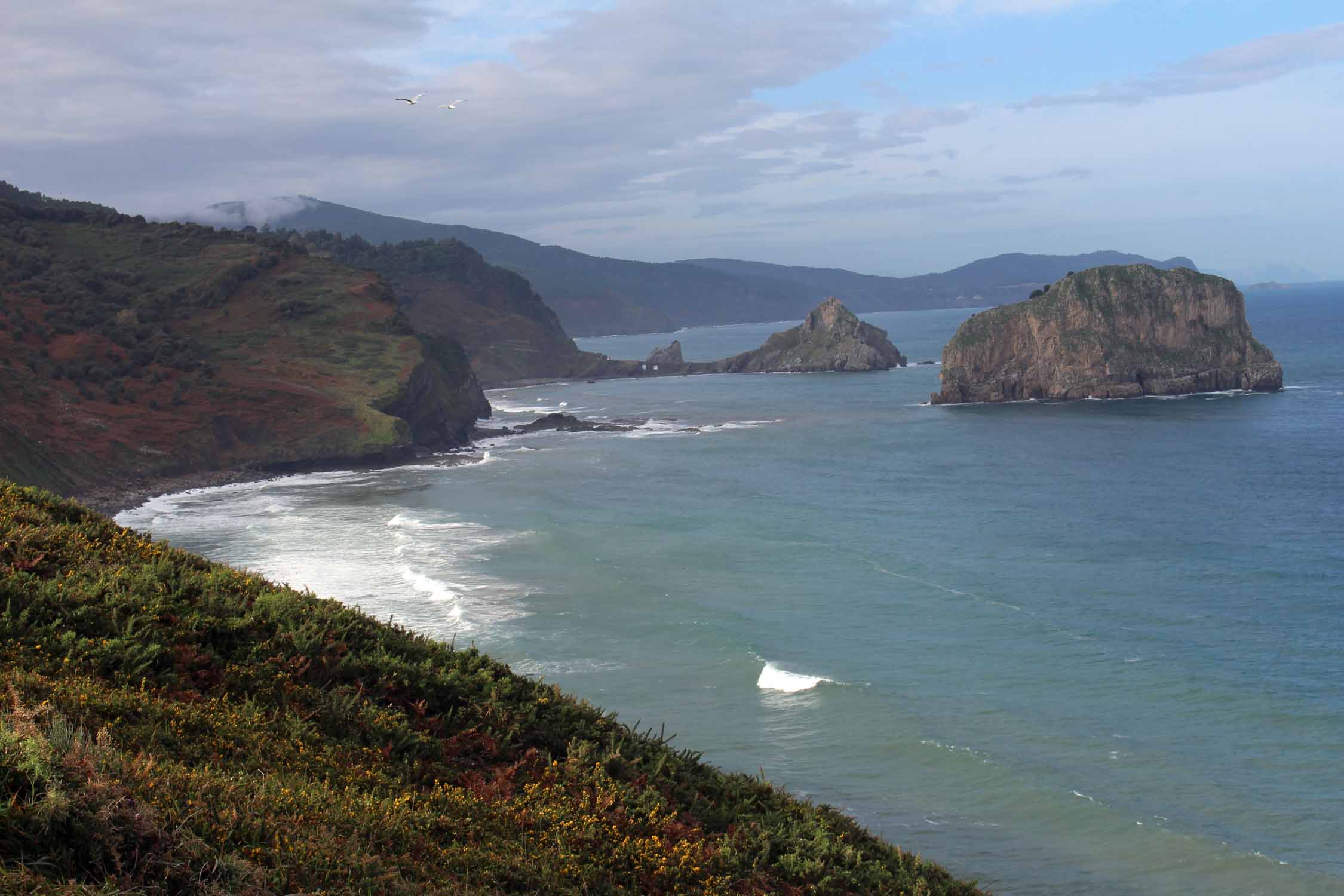 Cap Matxitxako, paysage