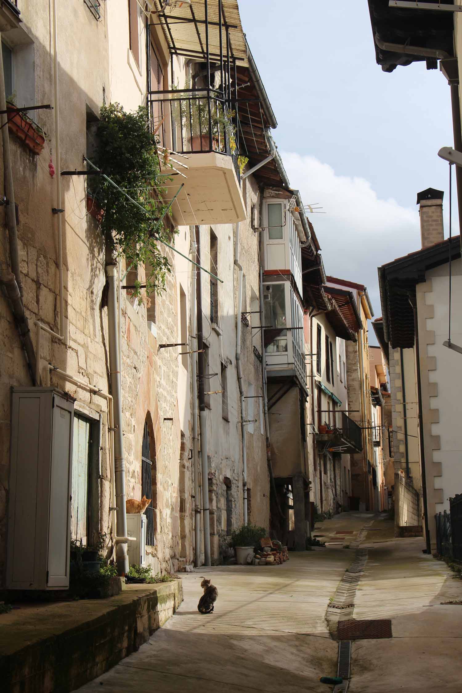 Salvatierra-Agurain, ruelle typique