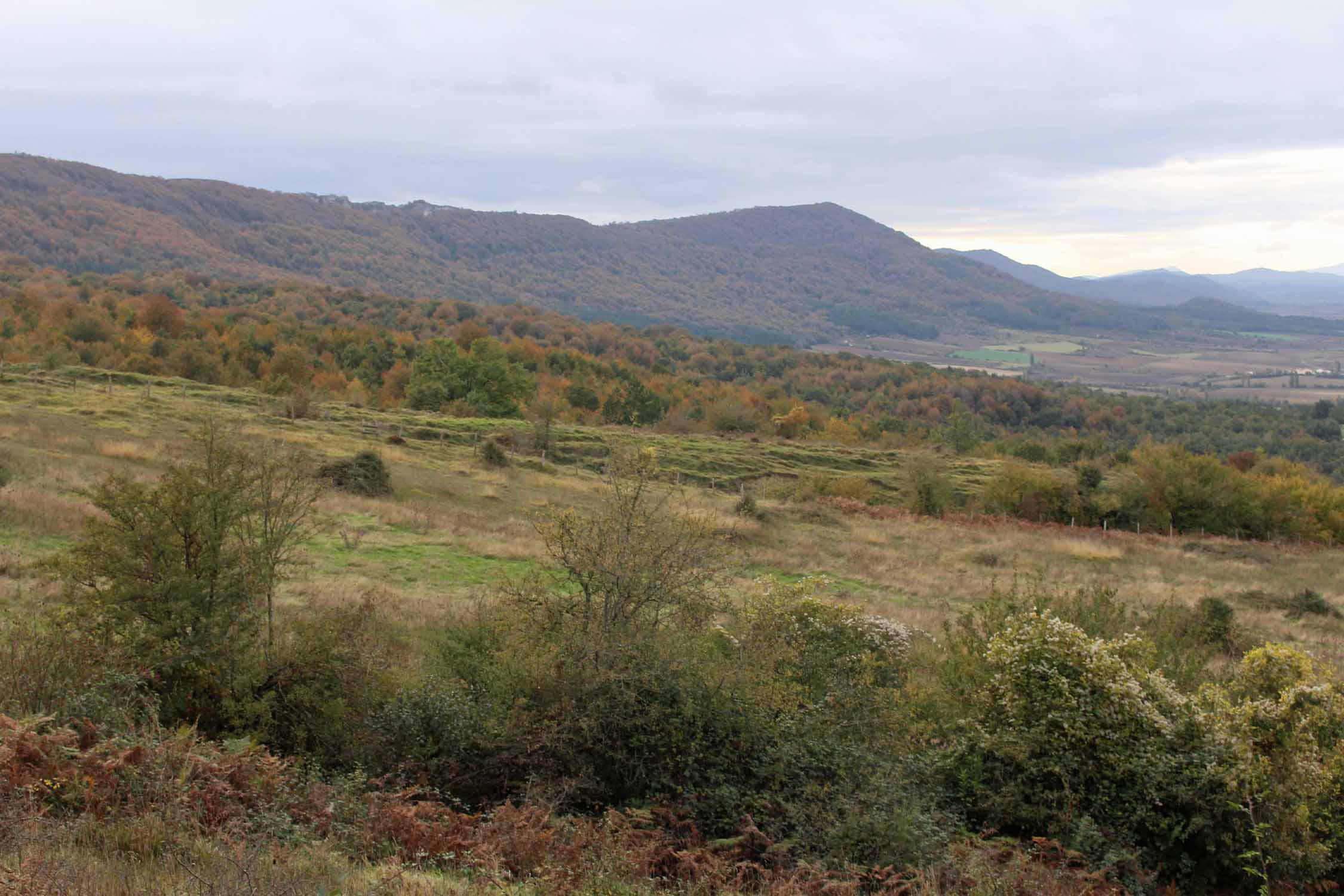 Pays Basque, col de Urbasa, paysage