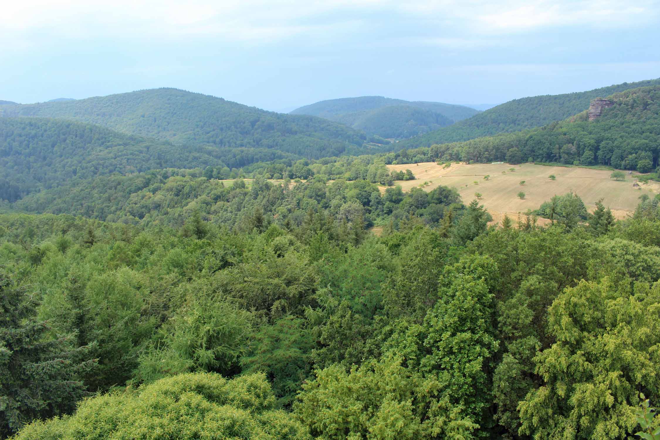 Château fort de Fleckenstein, paysage