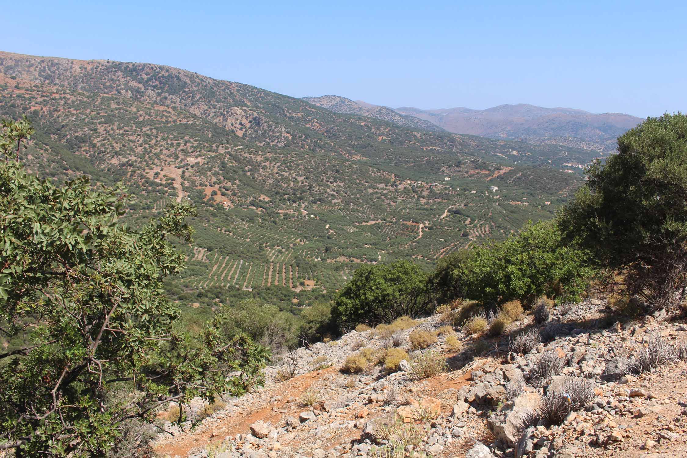 Crète, Lato, paysage