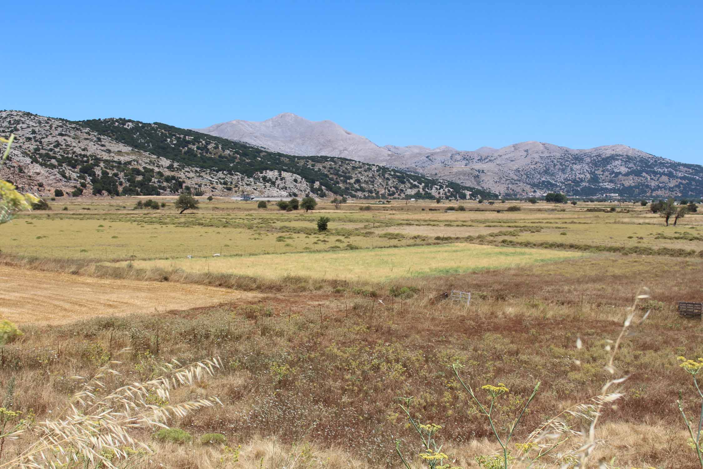 Crète, plateau de Lassíthi, paysage