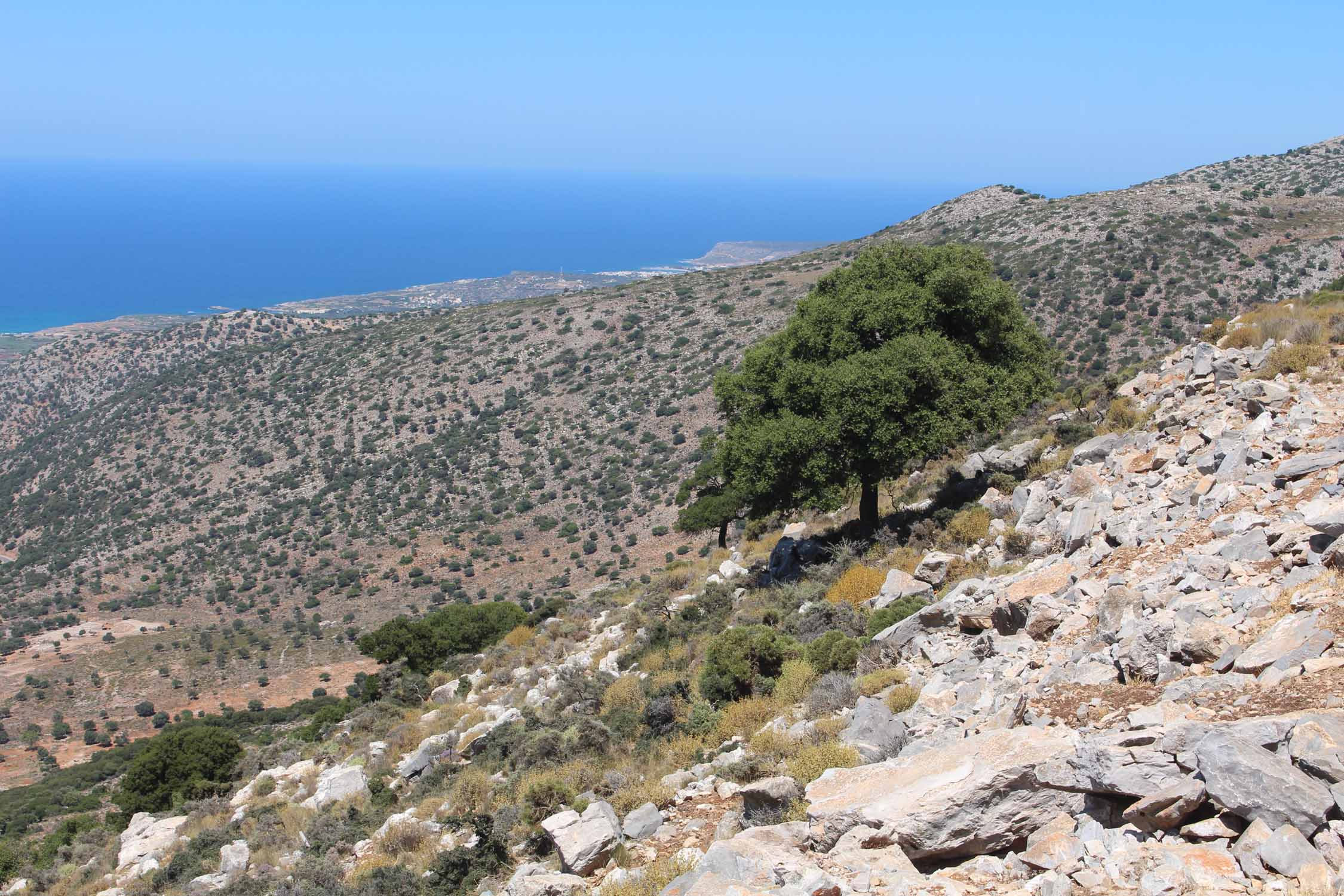 Crète, Malia, paysage