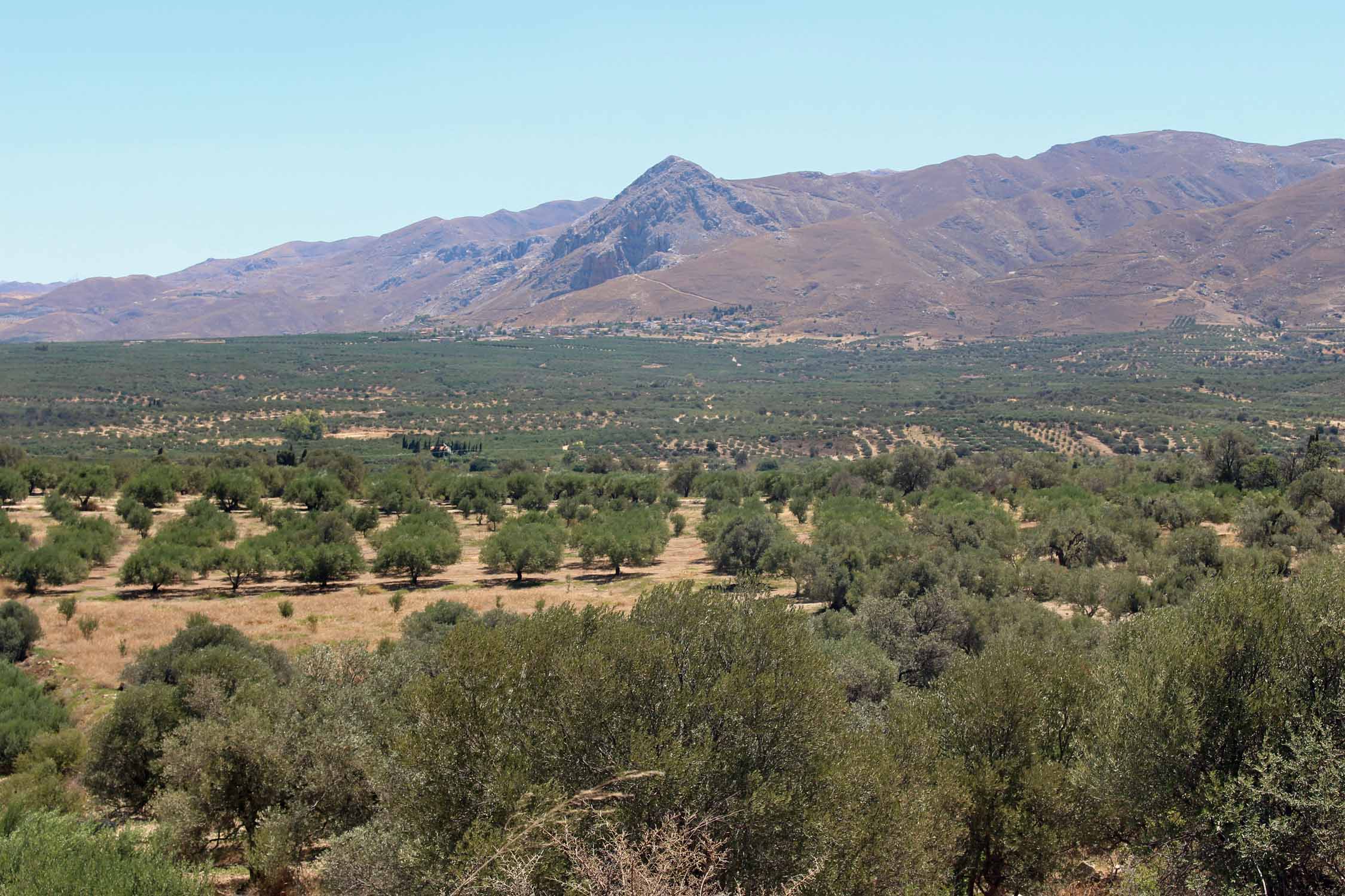 Crète, Kato Kastelliana, paysage