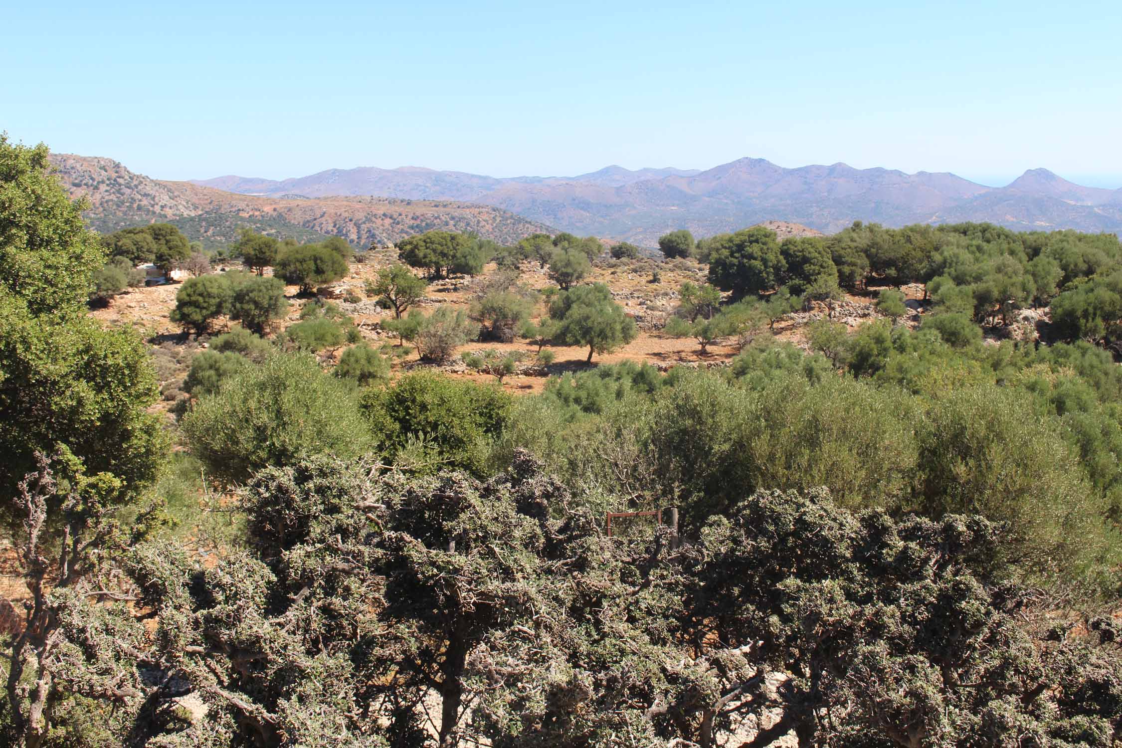 Crète, plateau de Katharo