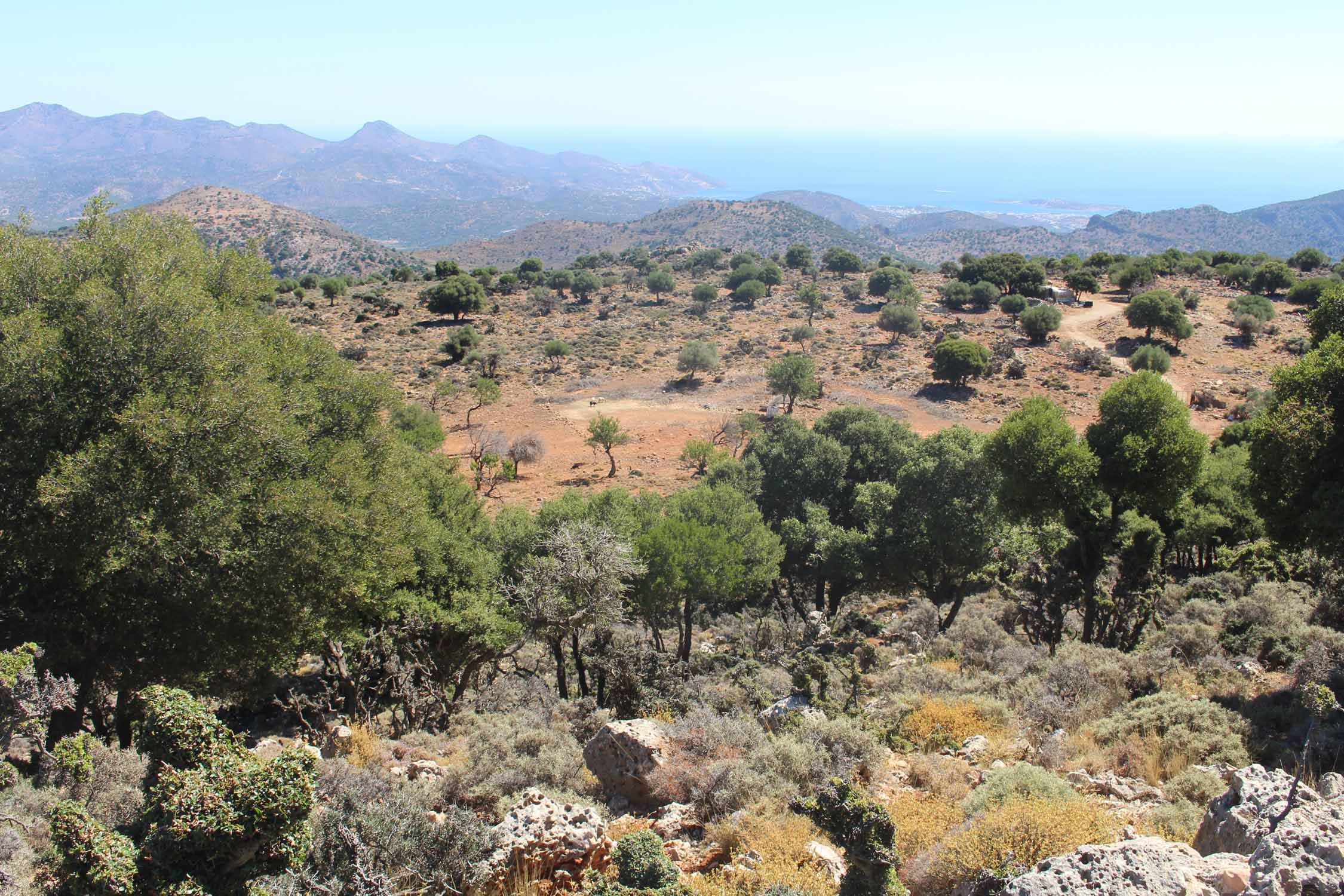 Crète, plateau de Katharo, paysage