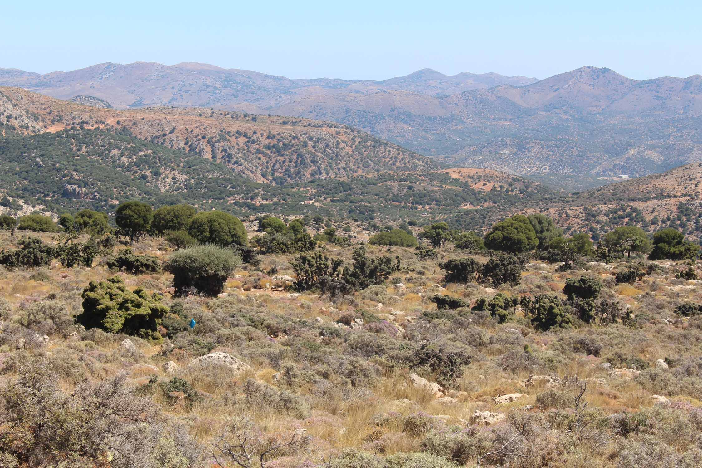 Plateau de Katharo, paysage