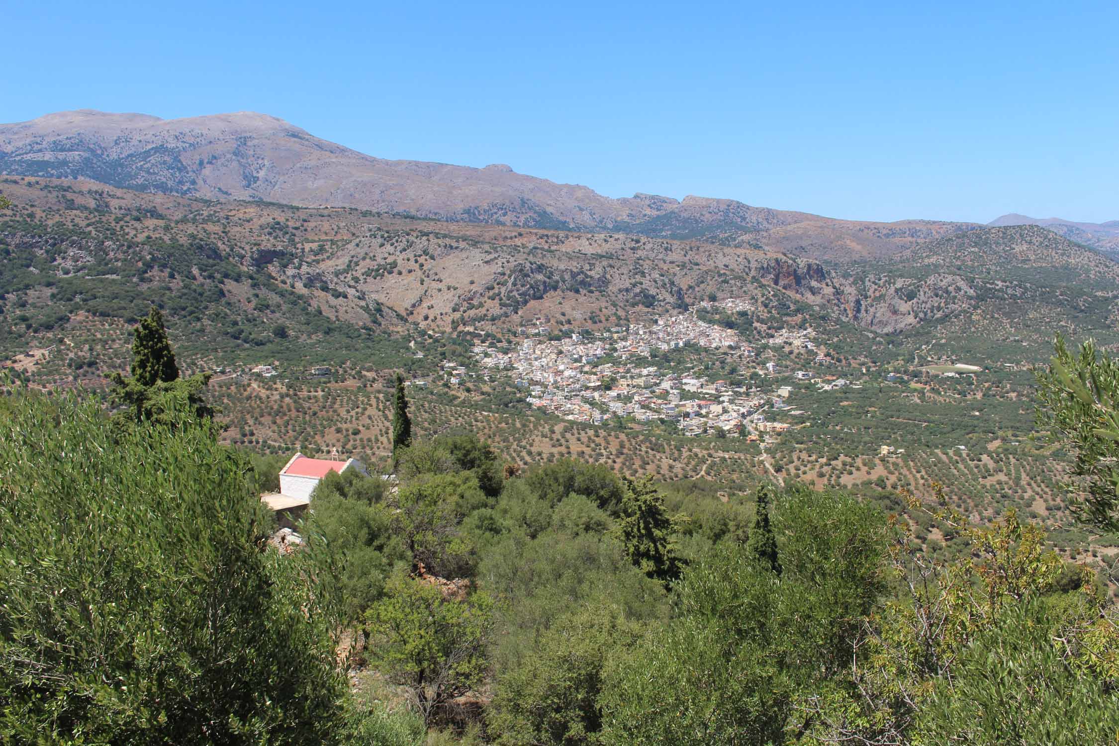 Crète, Kritsa, paysage, oliveraies