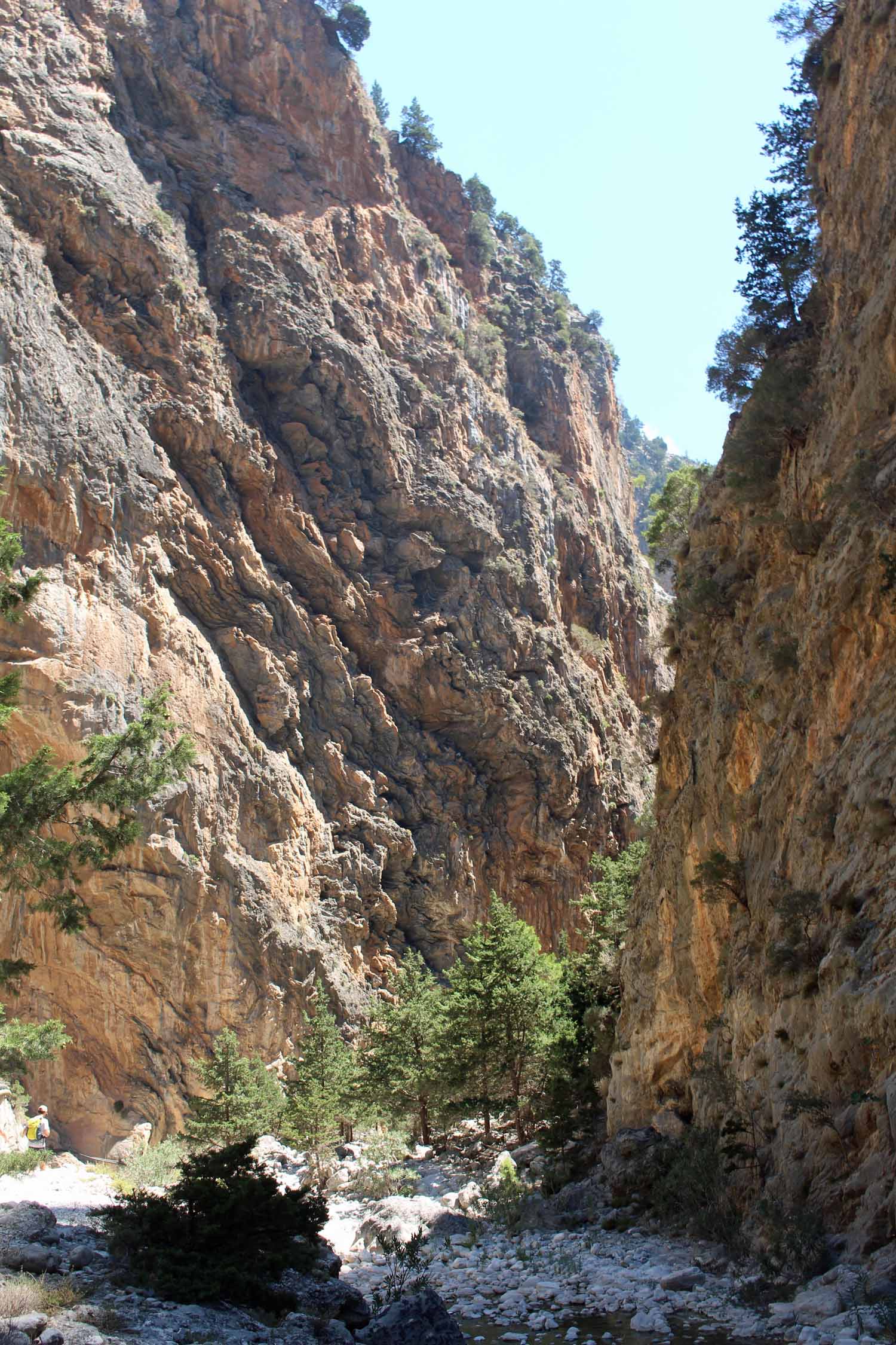 Crète, Gorge de Samaria, végétation