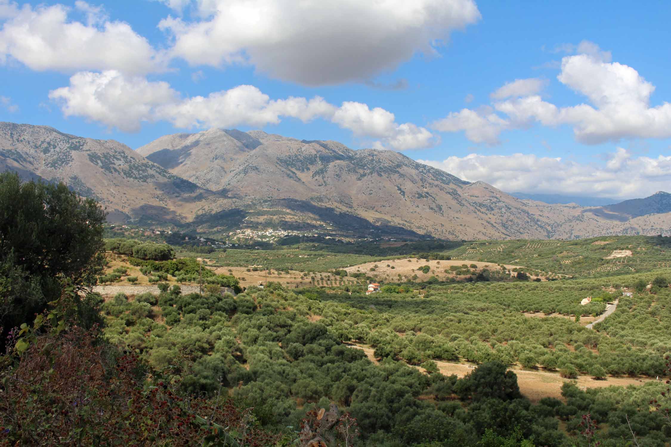 Crète, Kournas, paysage