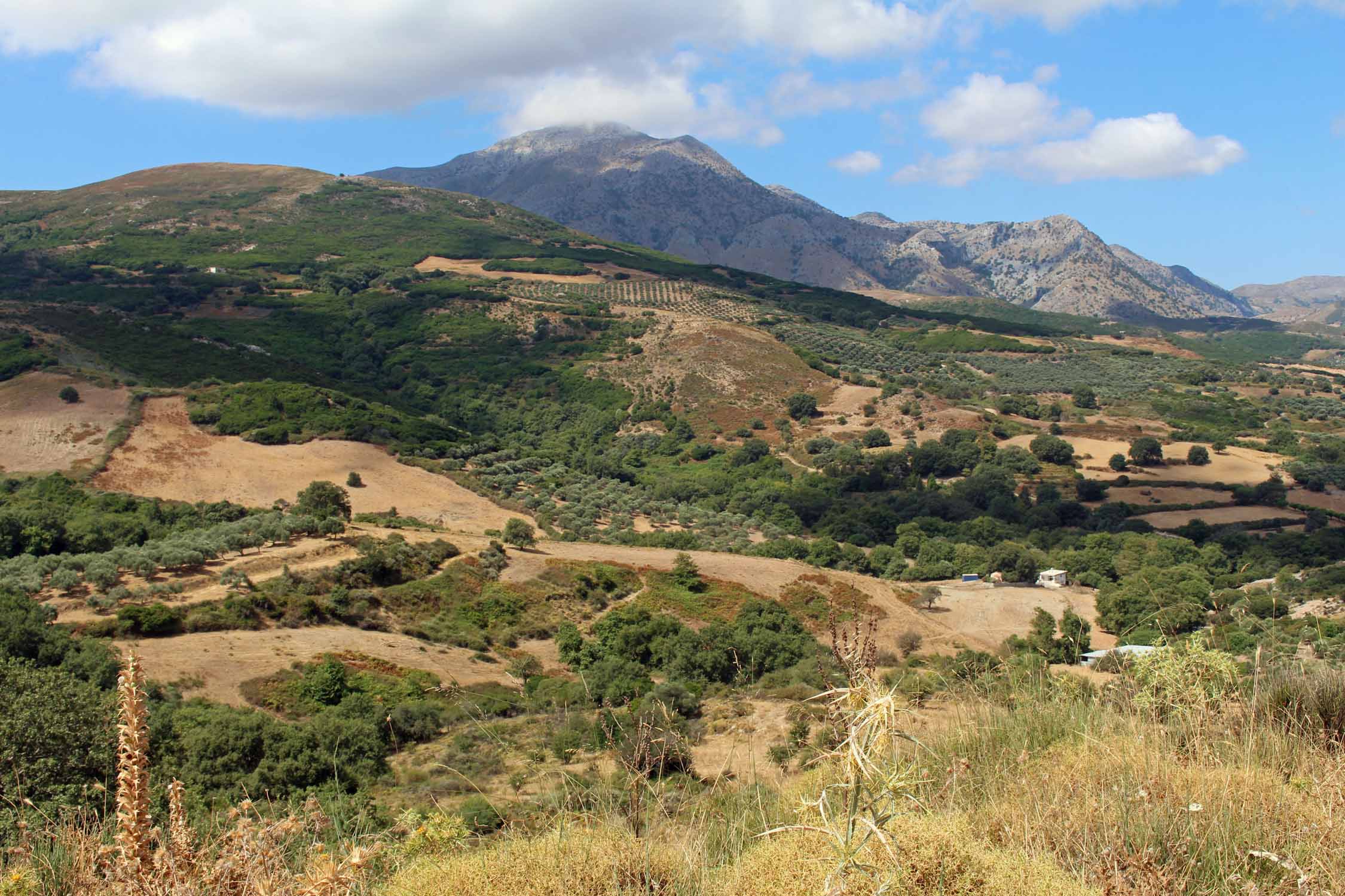 Crète, Alones, paysage