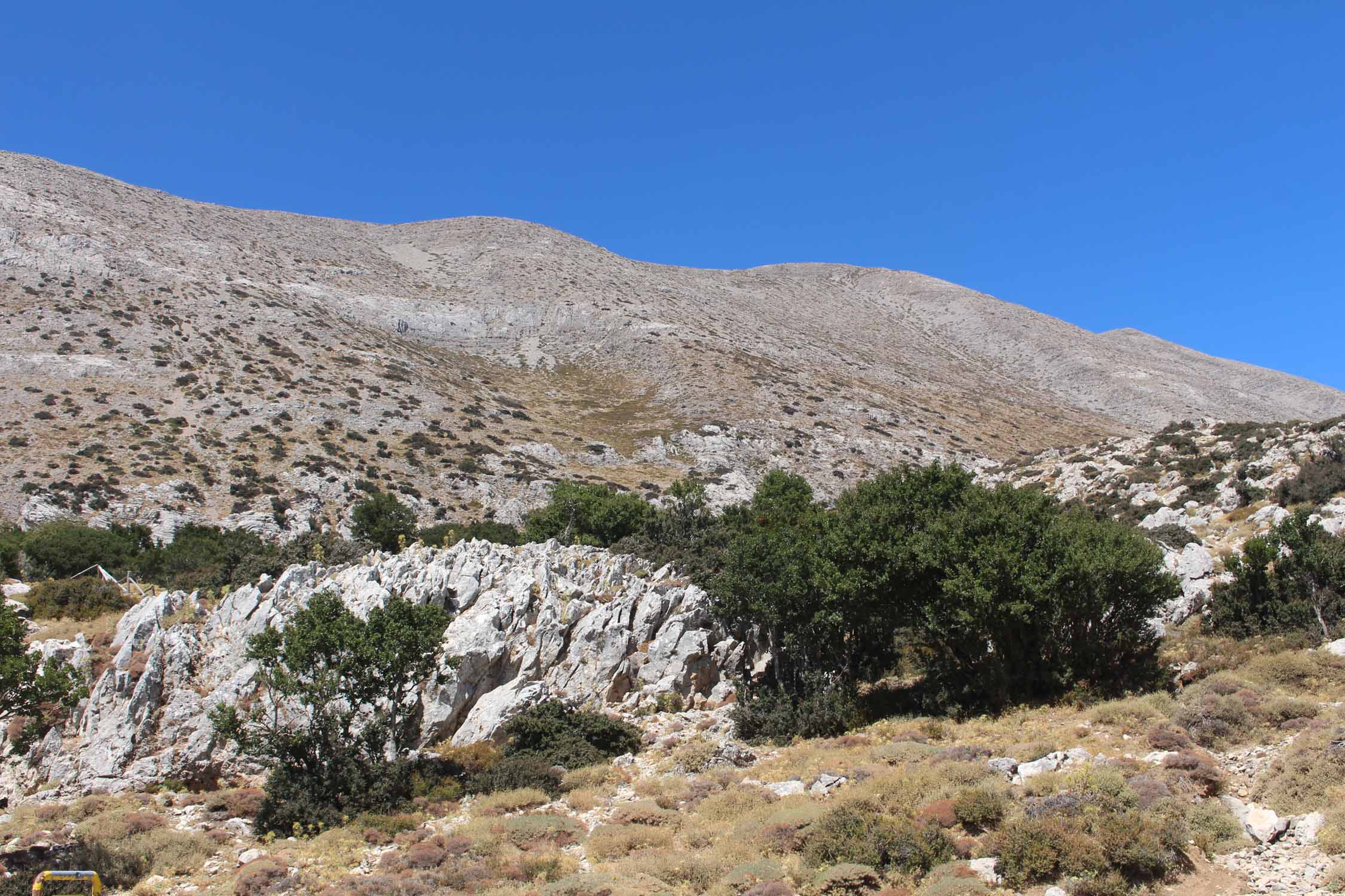 Crète, massif de Psiloritis, végétation