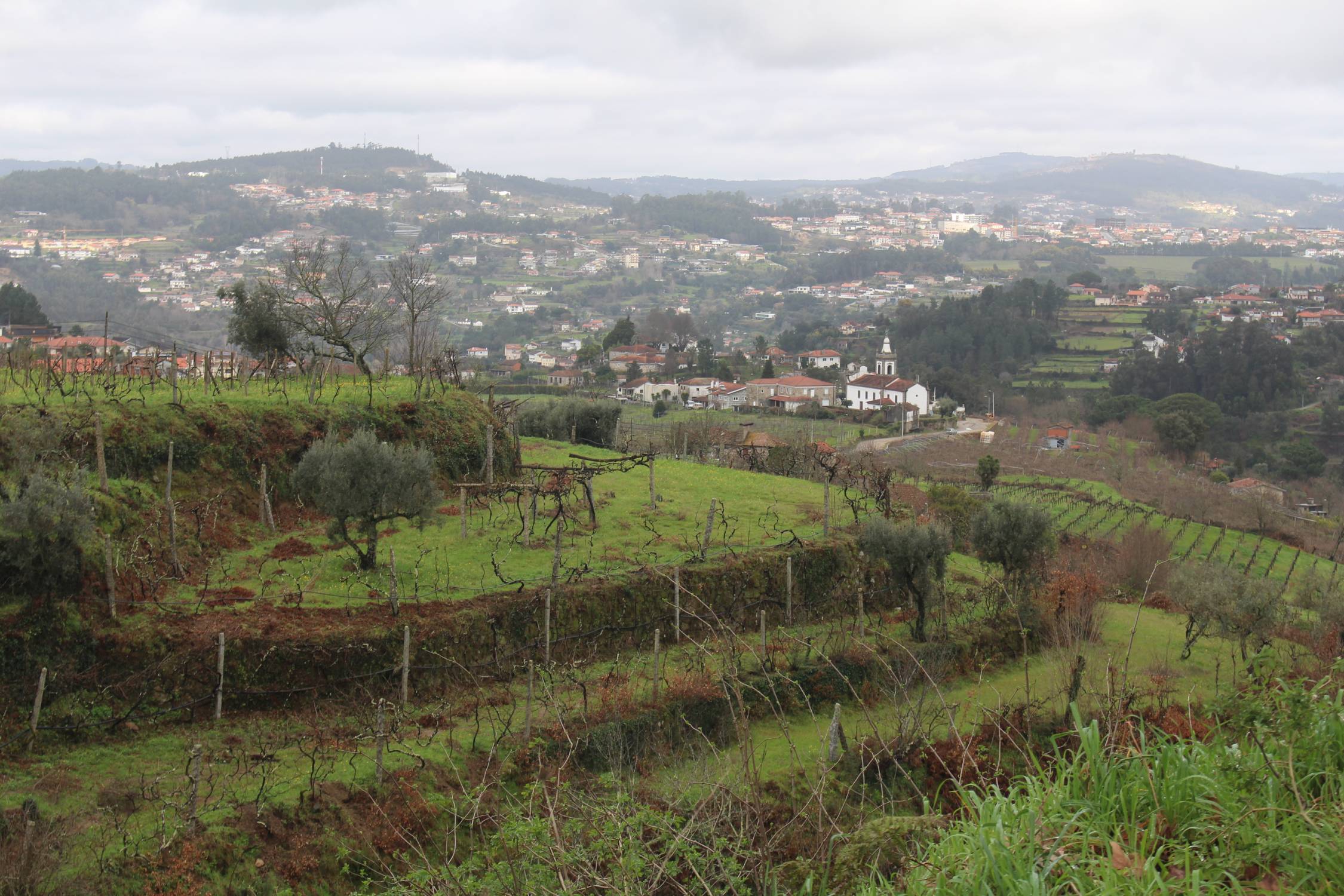 Espanadero, le Douro