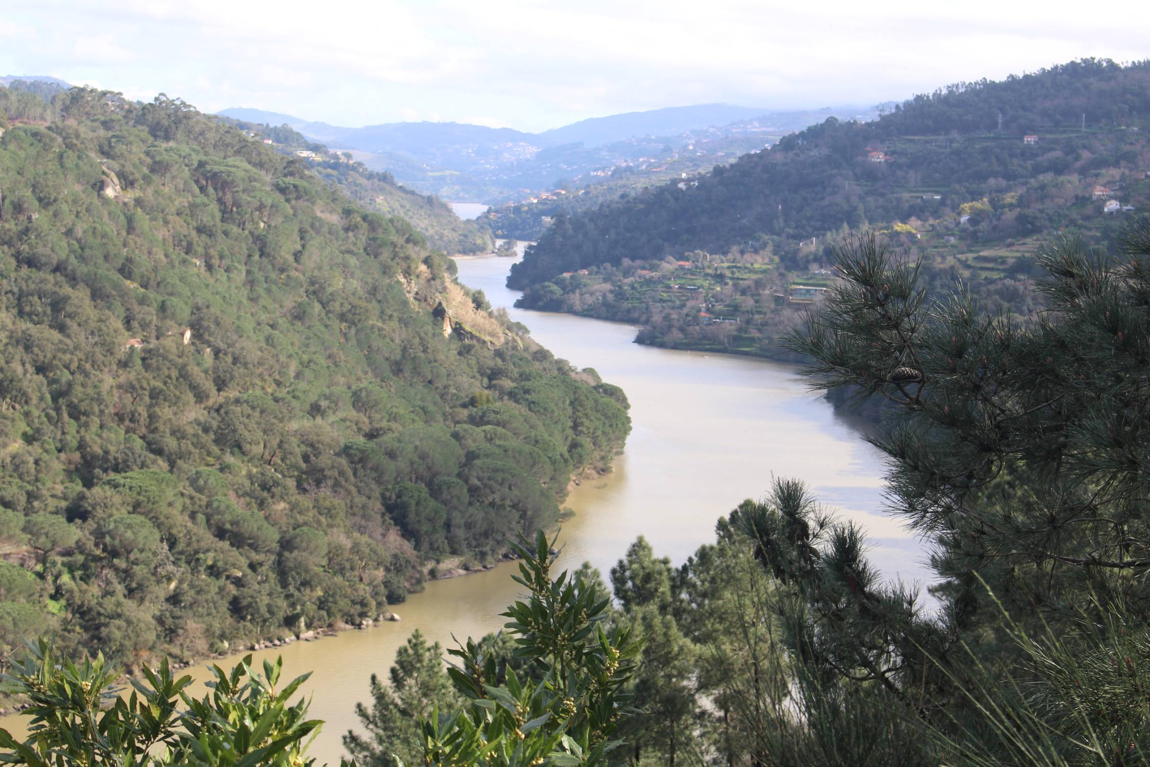 Le Douro, mirador de Trincheira