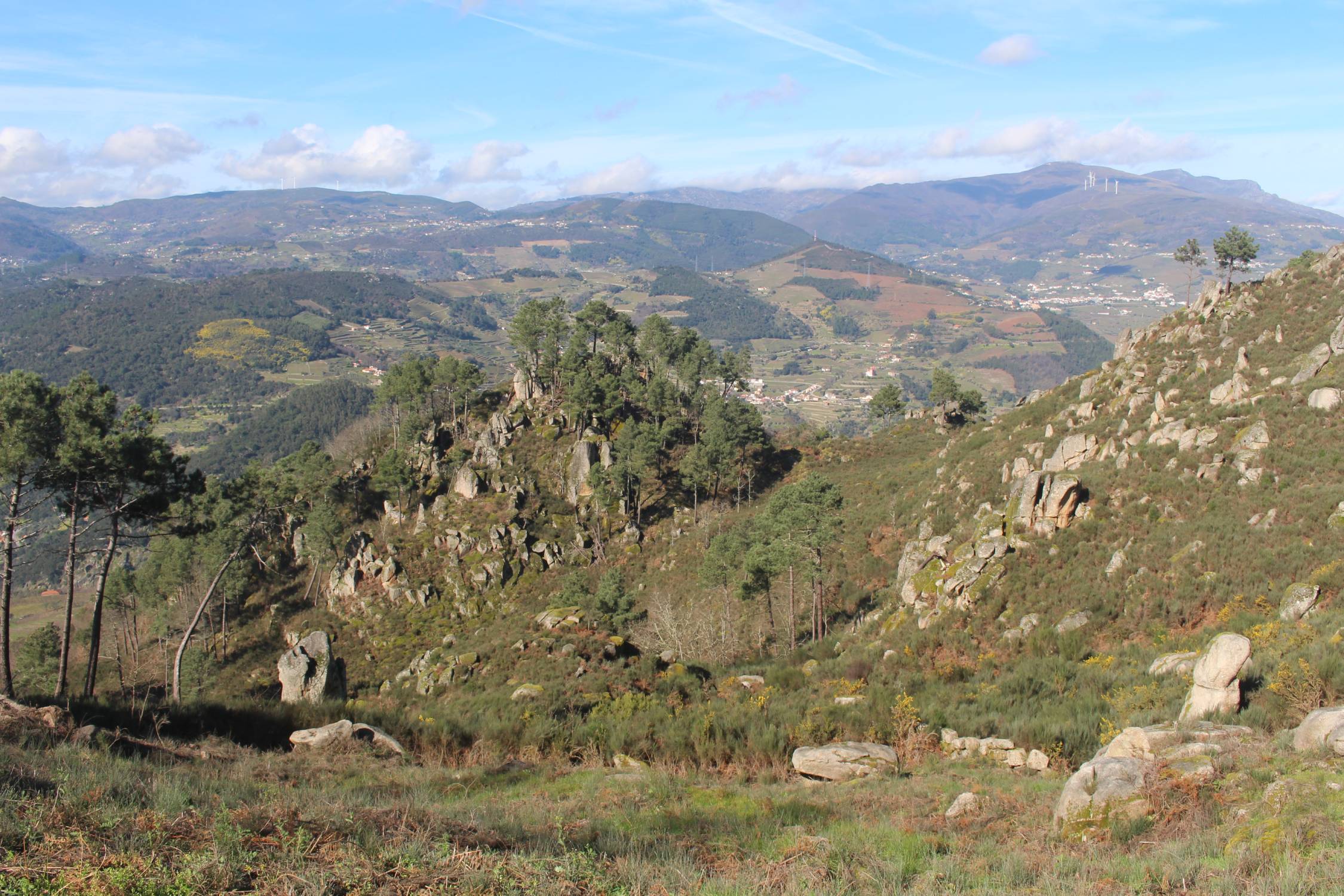 Vallée du Douro, paysage