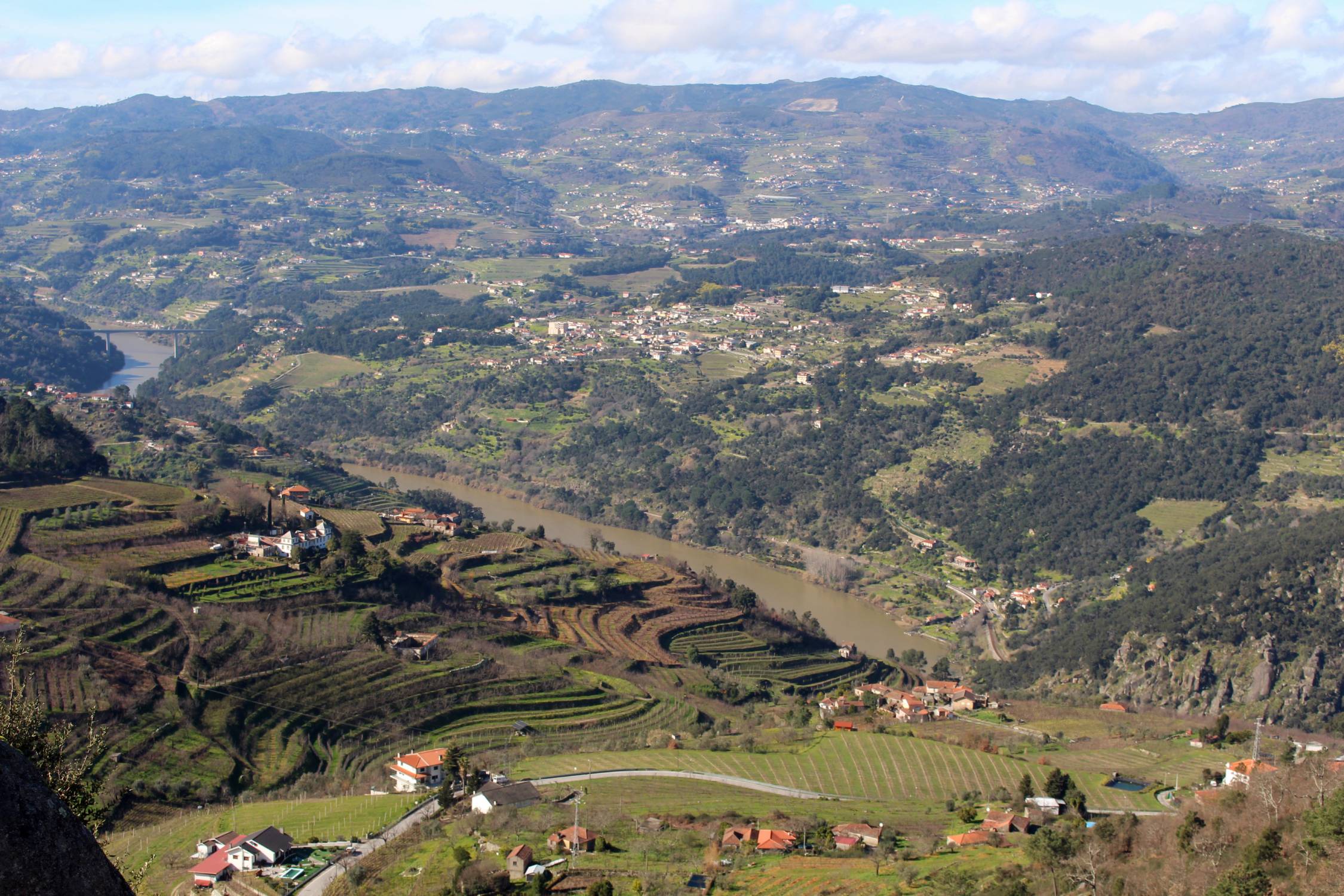 Vallée du Douro, vignobles