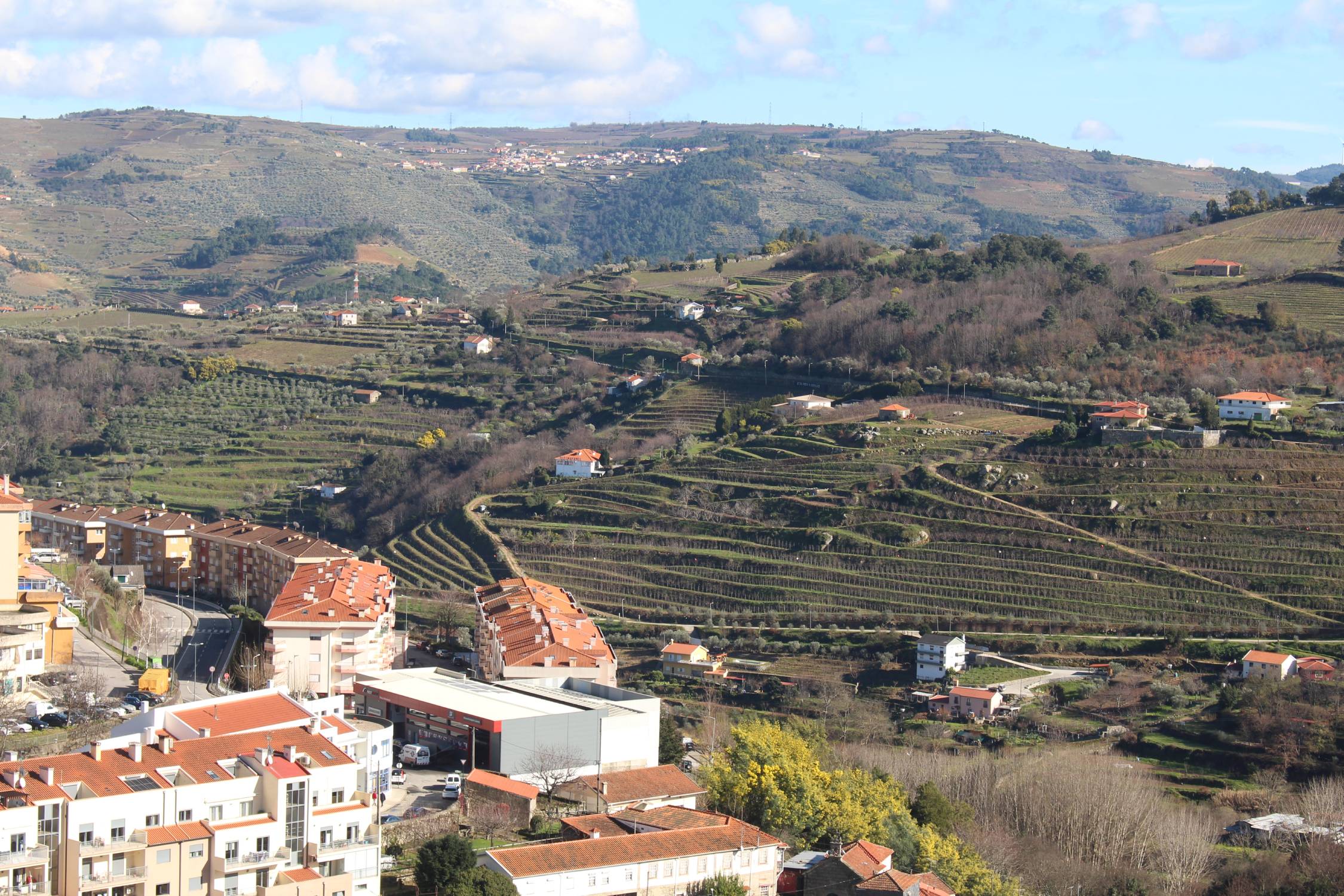 Lamego, paysage